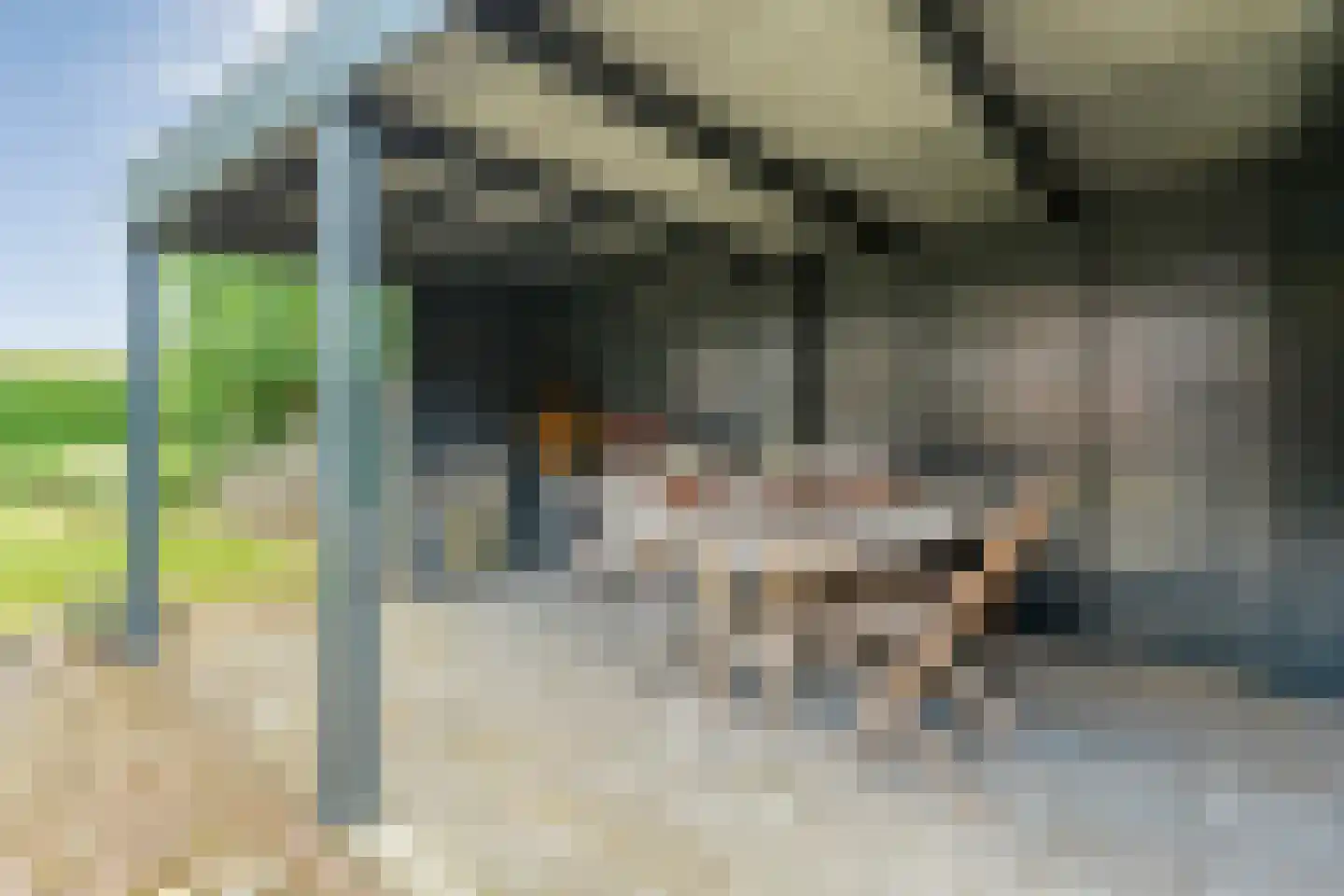 Laar 54 Nistelrode thumbnail 52