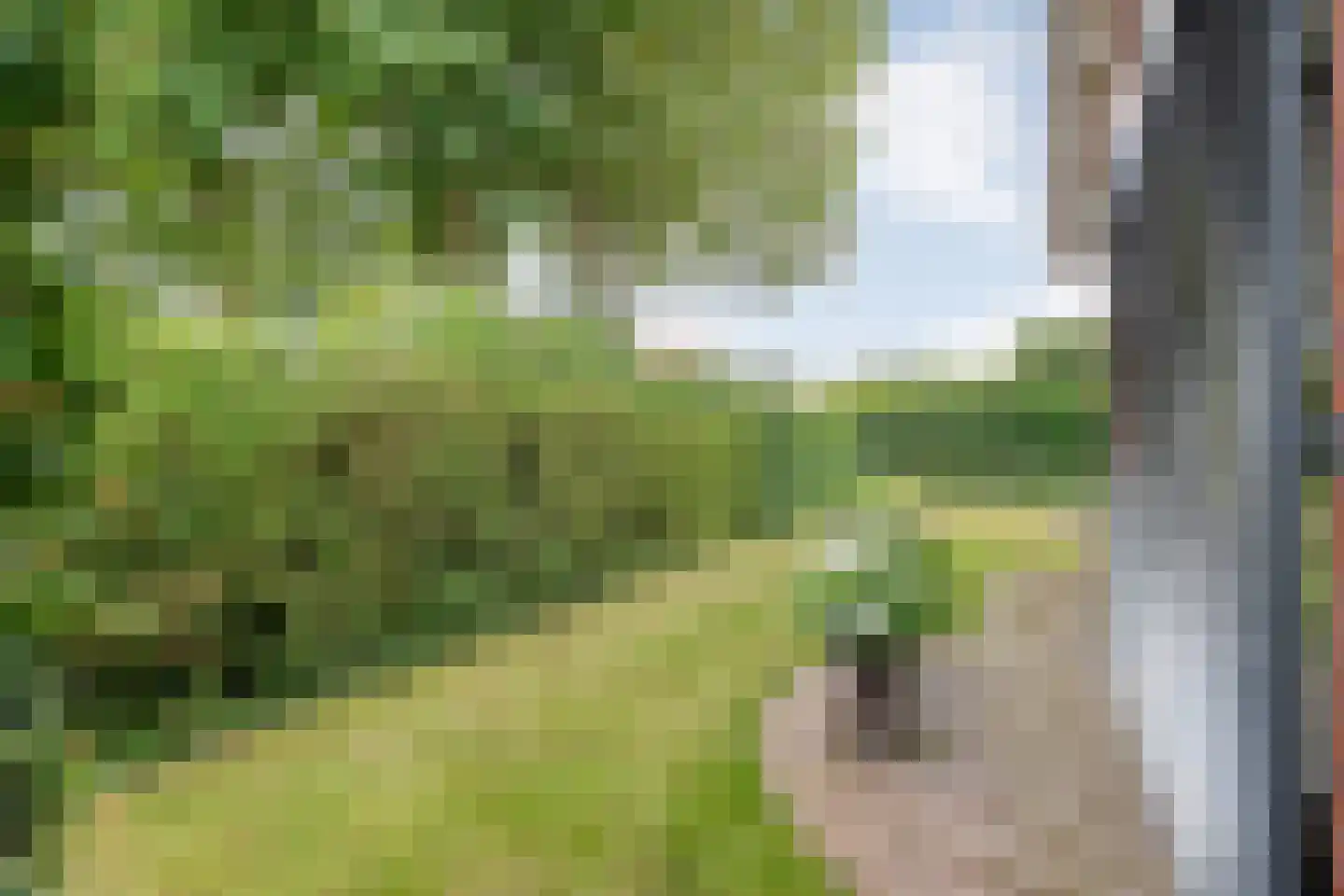 Laar 54 Nistelrode thumbnail 65