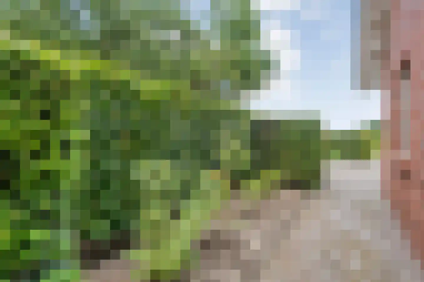 Laar 54 Nistelrode thumbnail 7
