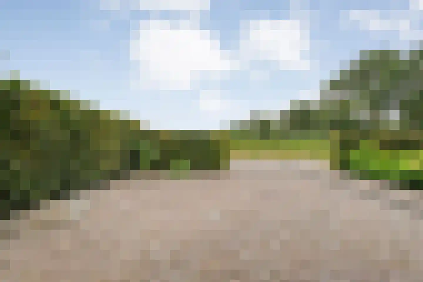 Laar 54 Nistelrode thumbnail 8