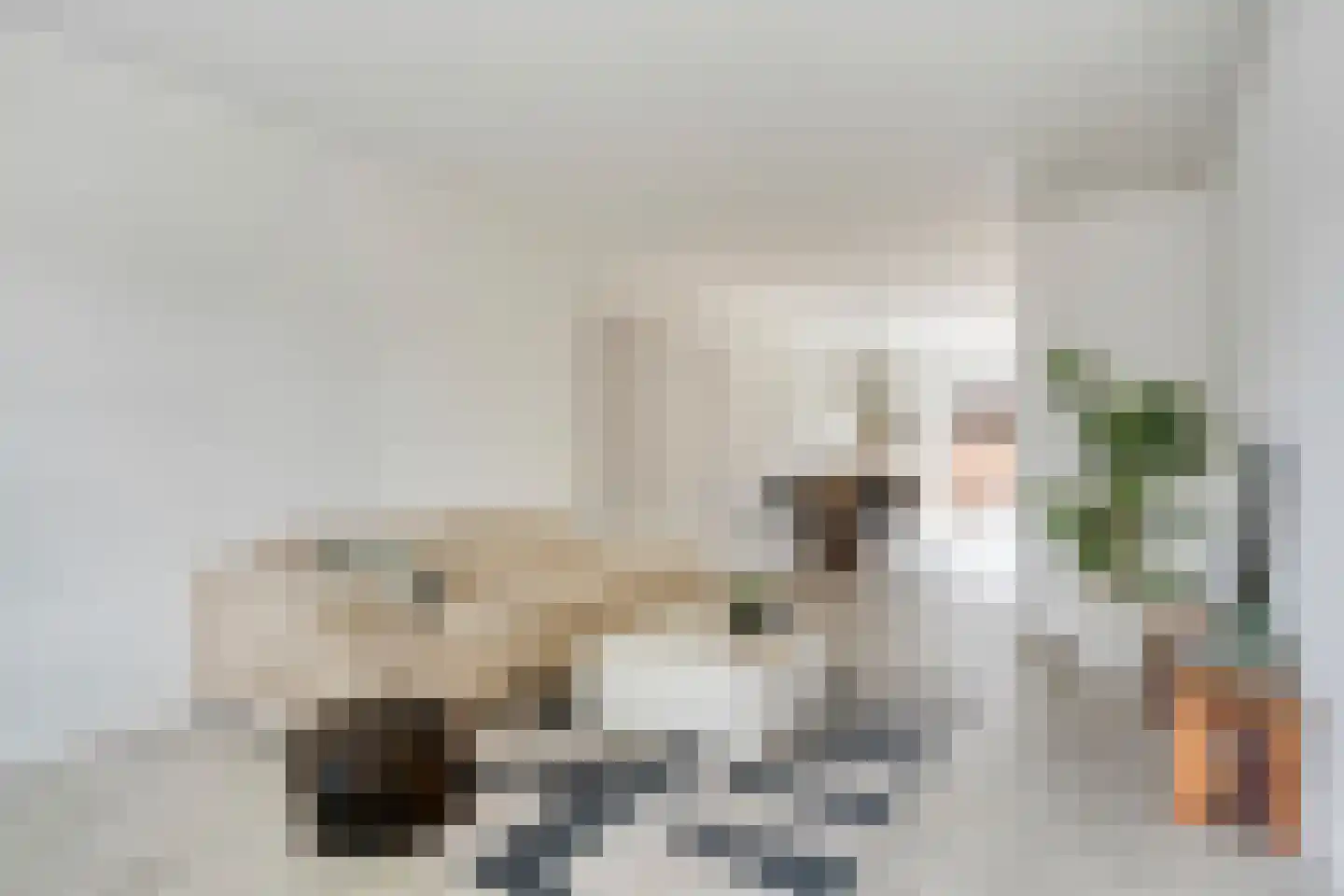 Laar 74 Nistelrode thumbnail 12
