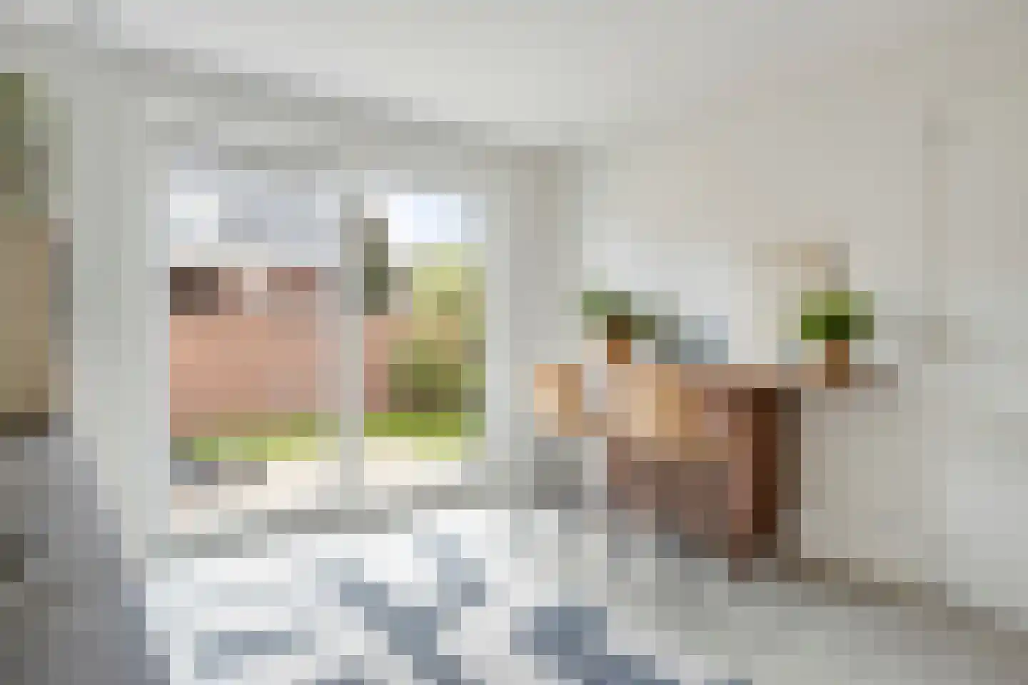 Laar 74 Nistelrode thumbnail 17