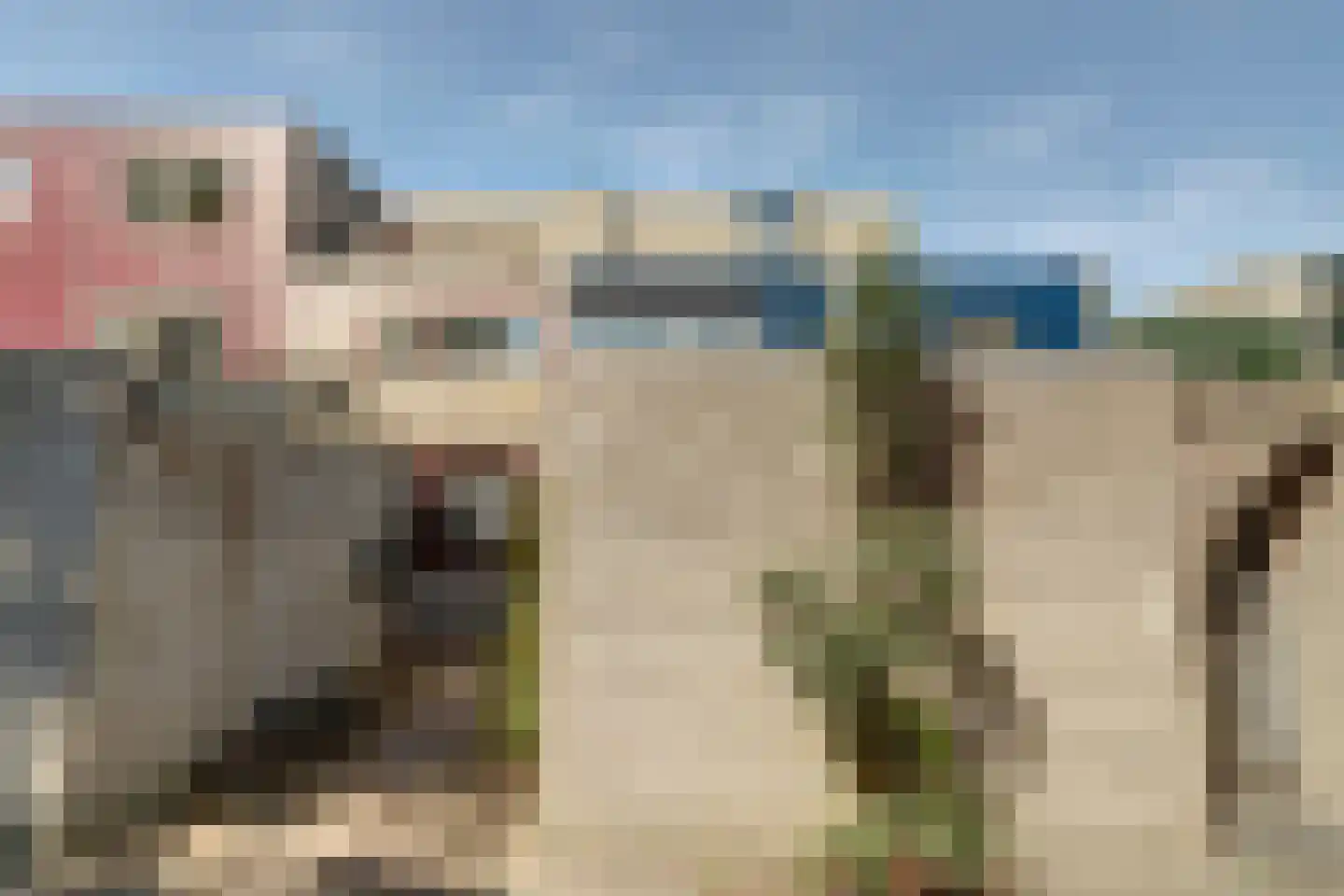 Laar 9 Eindhoven thumbnail 35