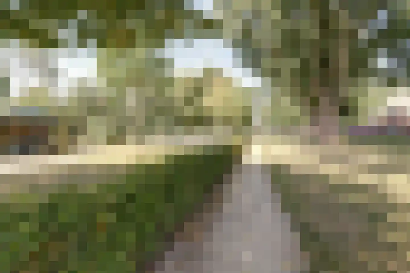 Laar 9 Eindhoven thumbnail 36