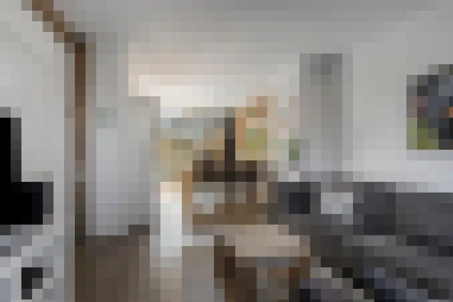 Laar-Enk 32 Epe thumbnail 11