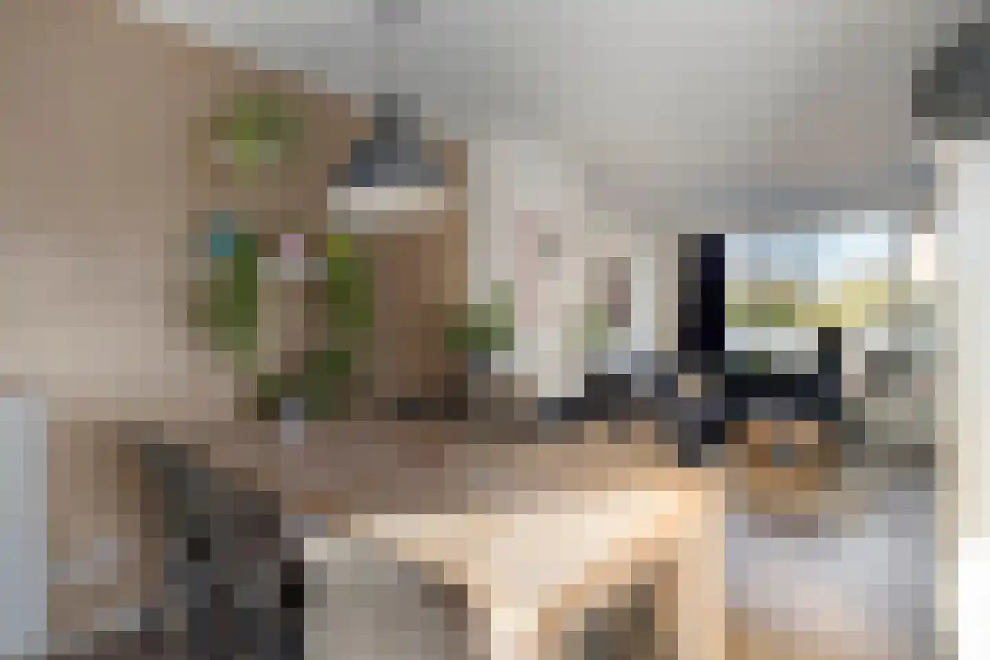 Laar-Enk 32 Epe thumbnail 14