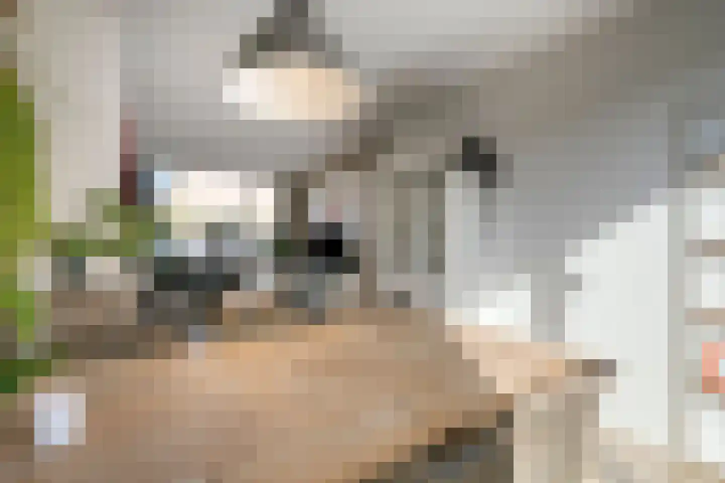Laar-Enk 32 Epe thumbnail 15