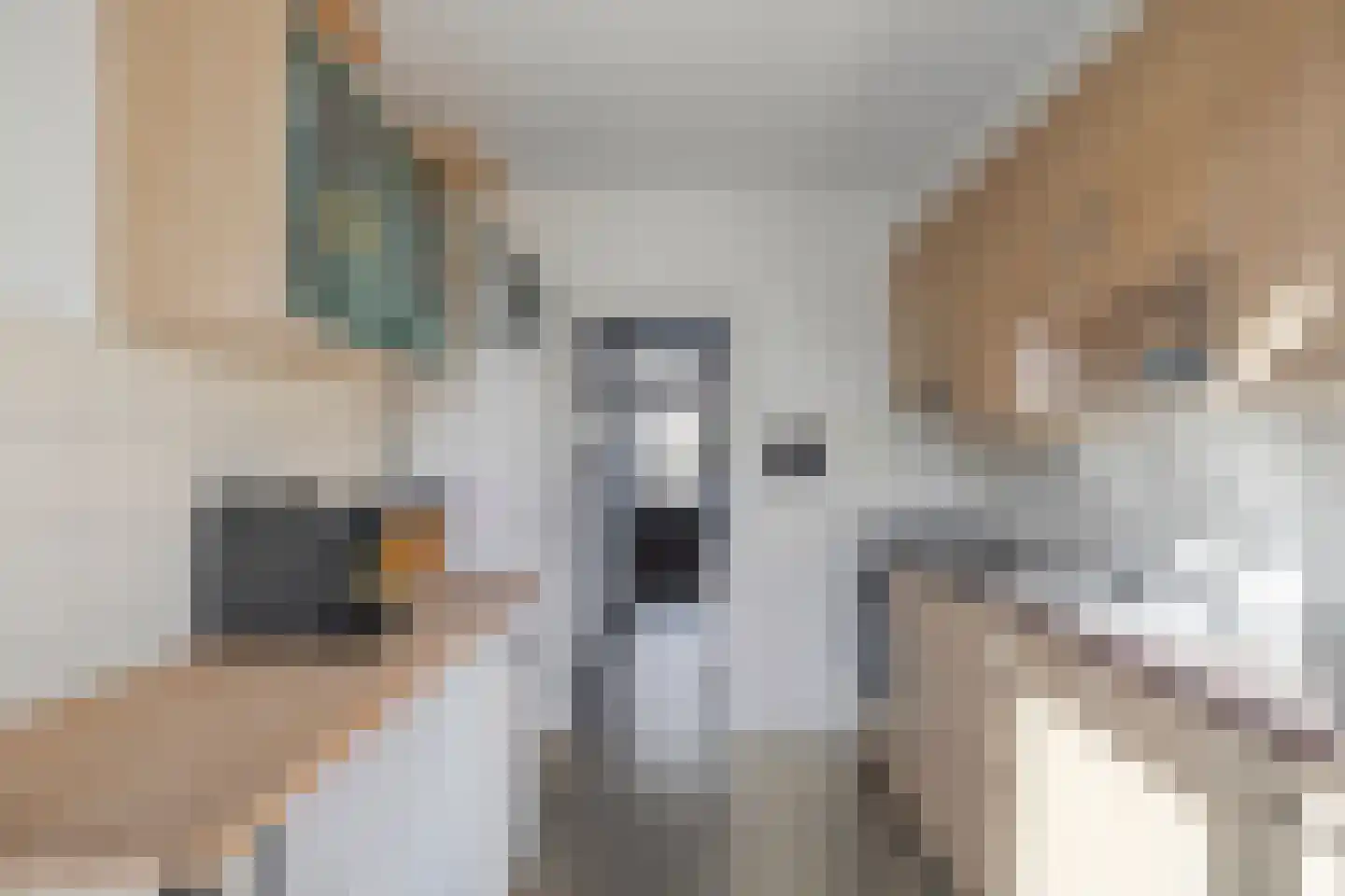 Laar-Enk 32 Epe thumbnail 18