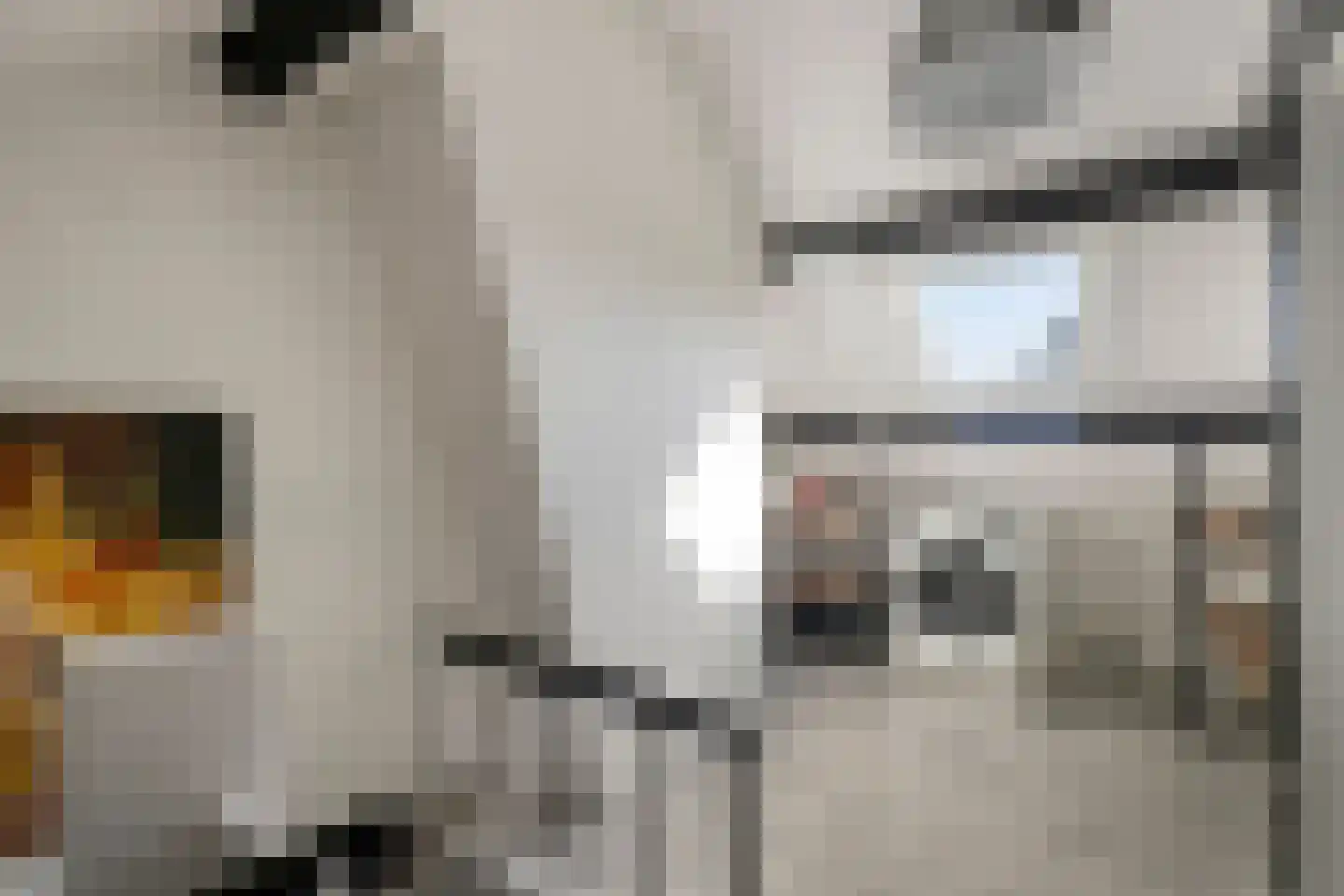Laar-Enk 32 Epe thumbnail 29