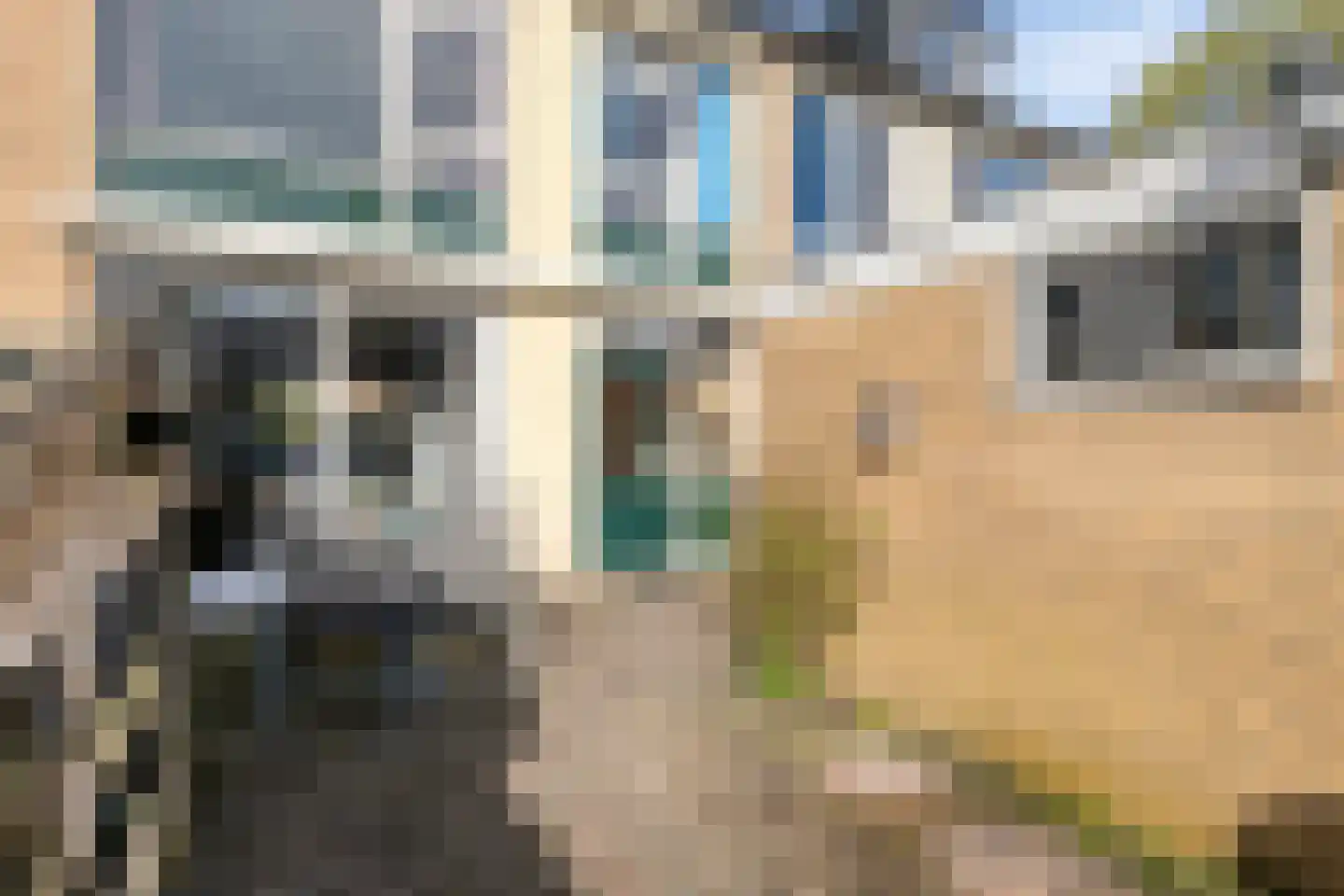 Laar-Enk 32 Epe thumbnail 33