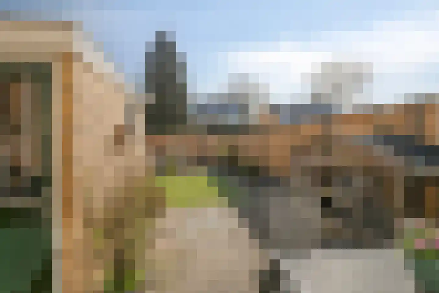 Laar-Enk 32 Epe thumbnail 35