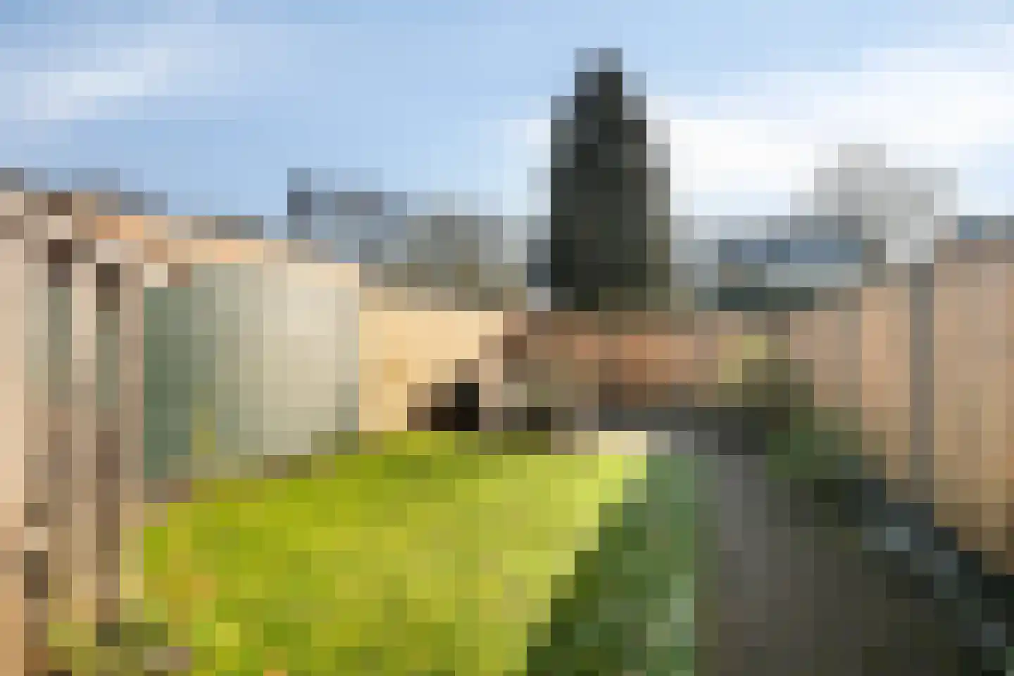 Laar-Enk 32 Epe thumbnail 36