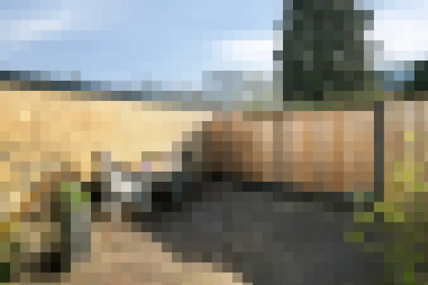 Laar-Enk 32 Epe thumbnail 37