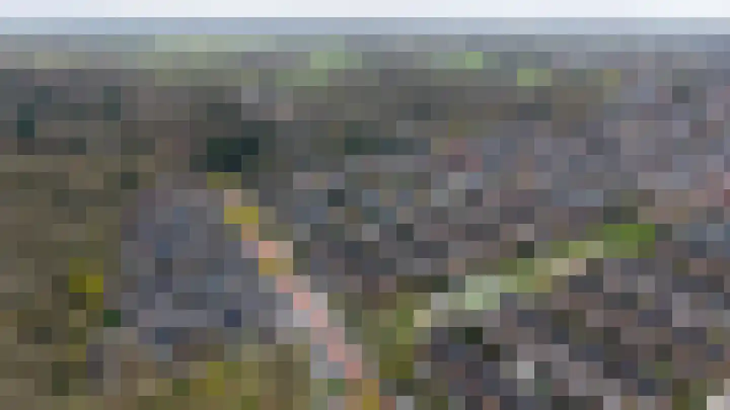 Laar-Enk 32 Epe thumbnail 41