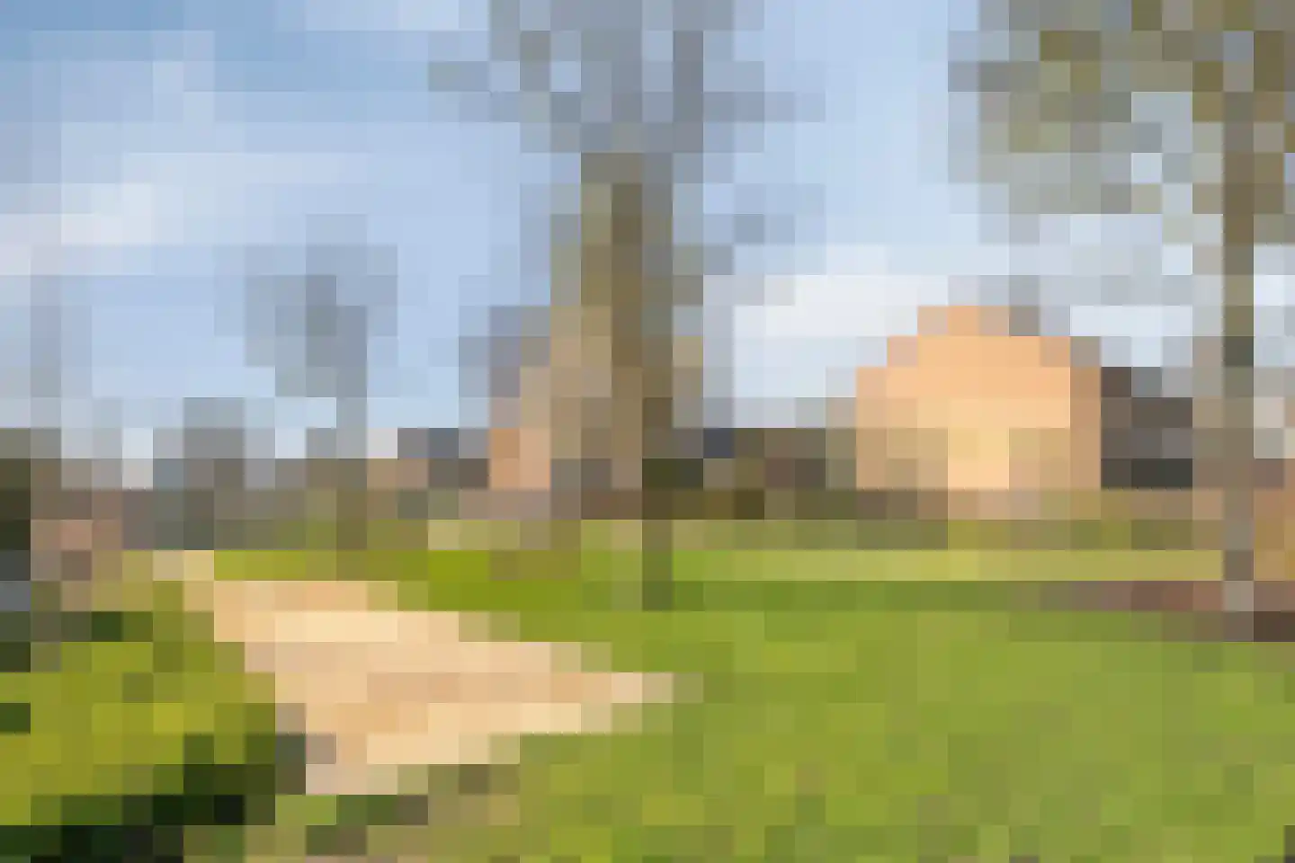 Laar-Enk 32 Epe thumbnail 6