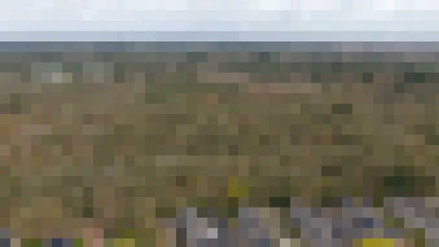 Laar-Enk 32 Epe thumbnail 7