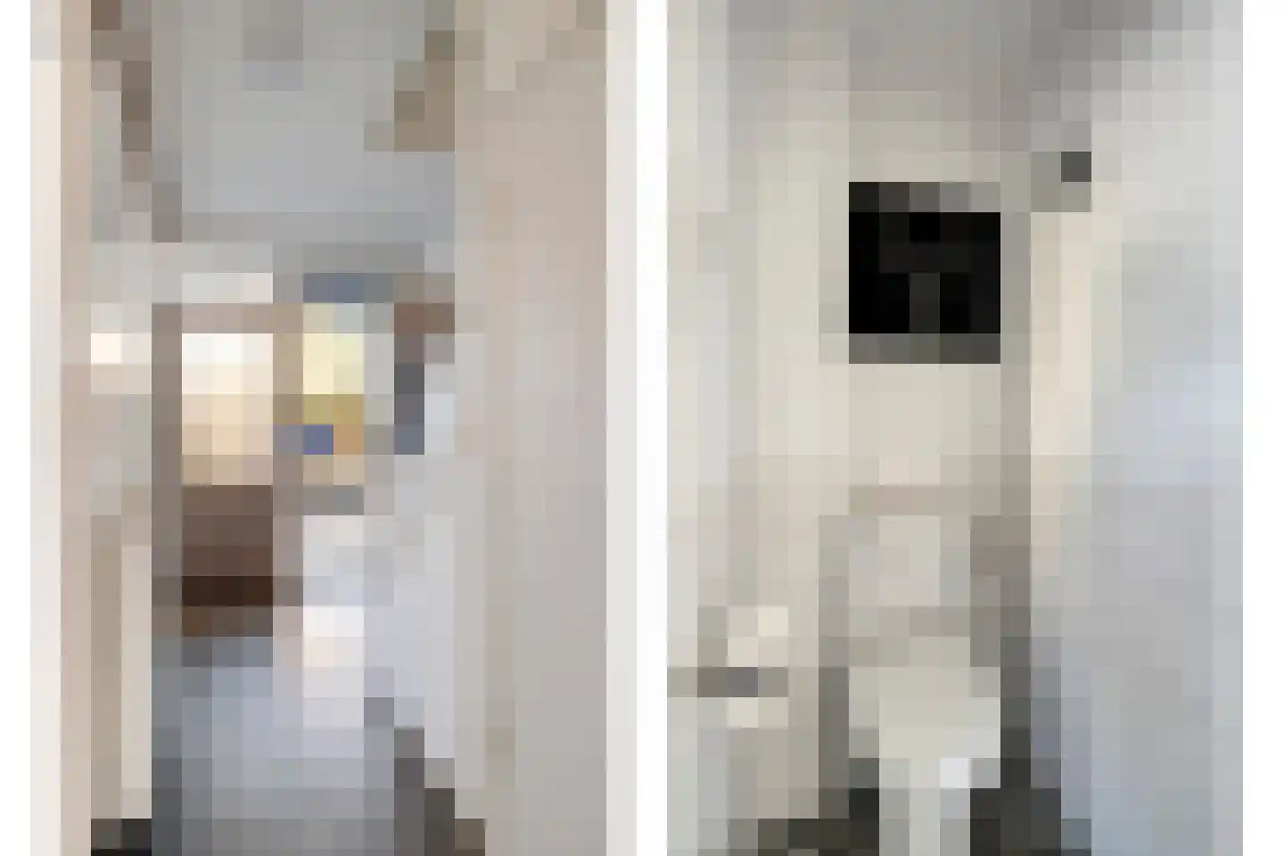 Laar-Enk 32 Epe thumbnail 9