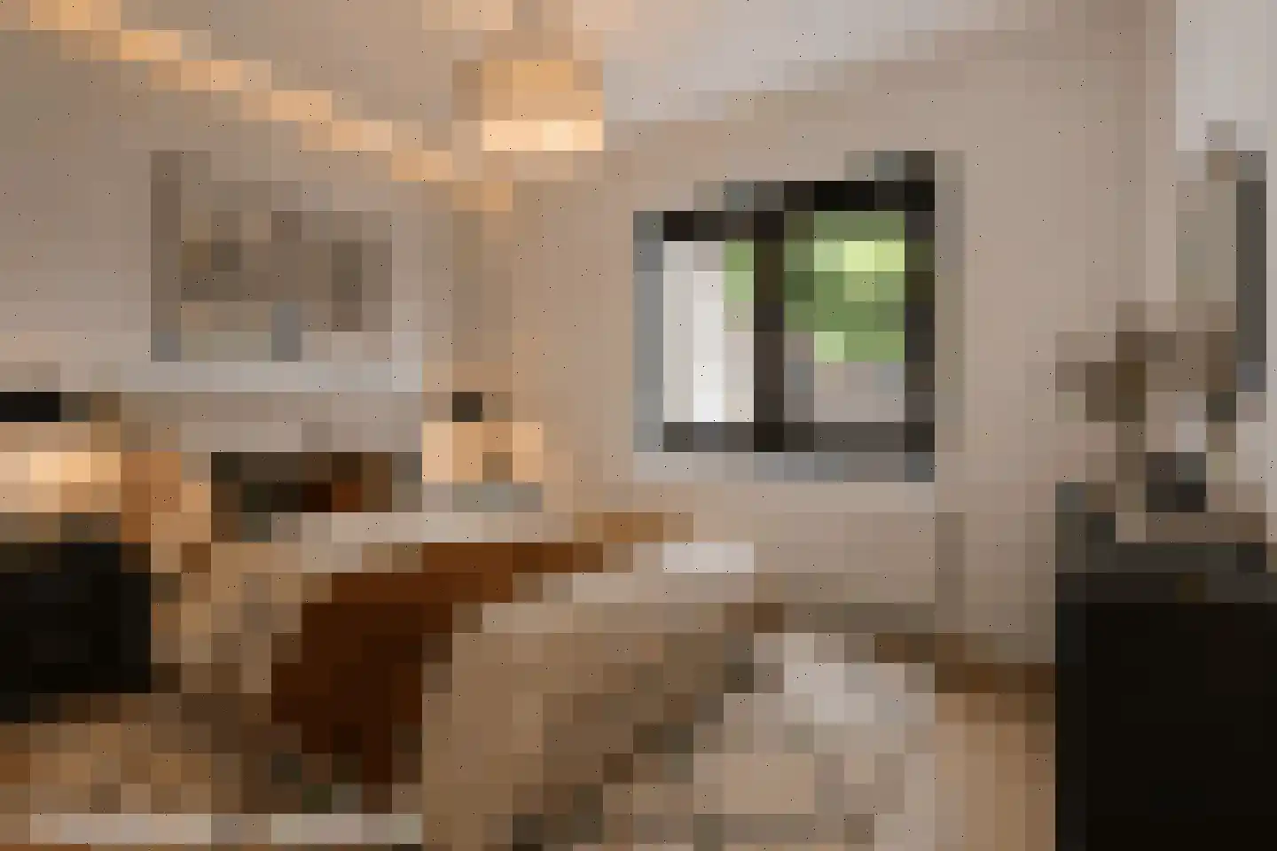 Laarakkerdijk 14 1 Reusel thumbnail 10