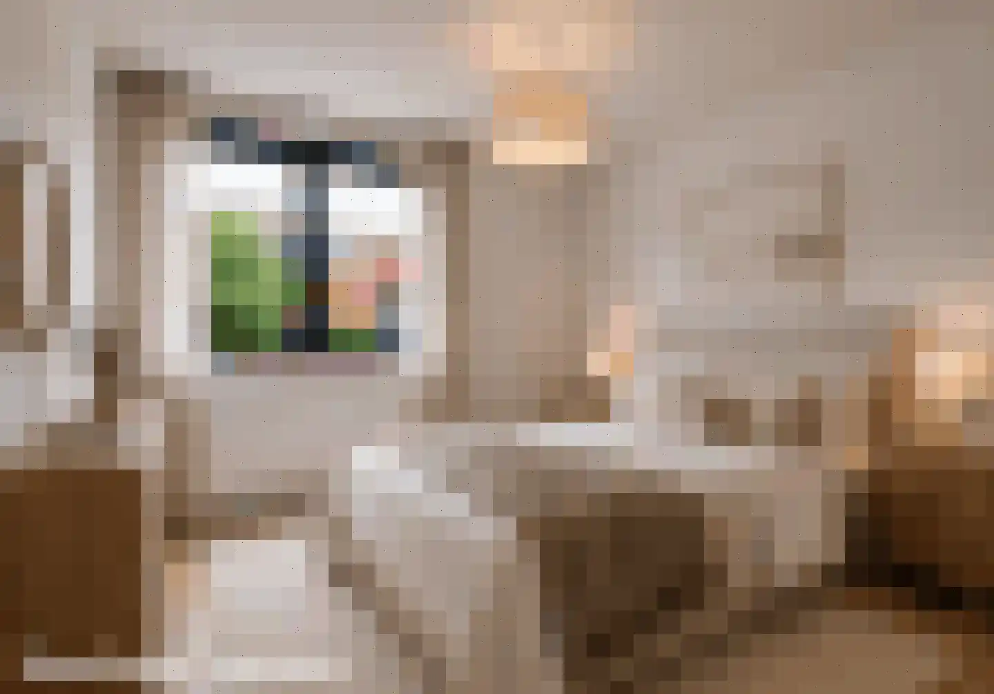 Laarakkerdijk 14 1 Reusel thumbnail 12