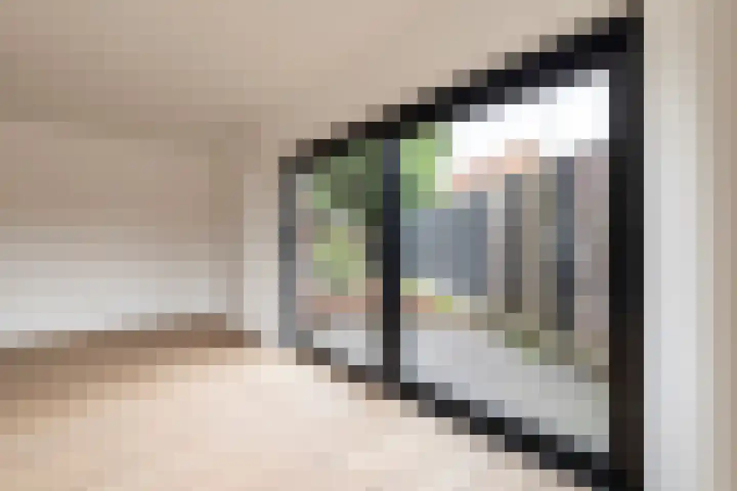 Laarakkerdijk 14 1 Reusel thumbnail 17