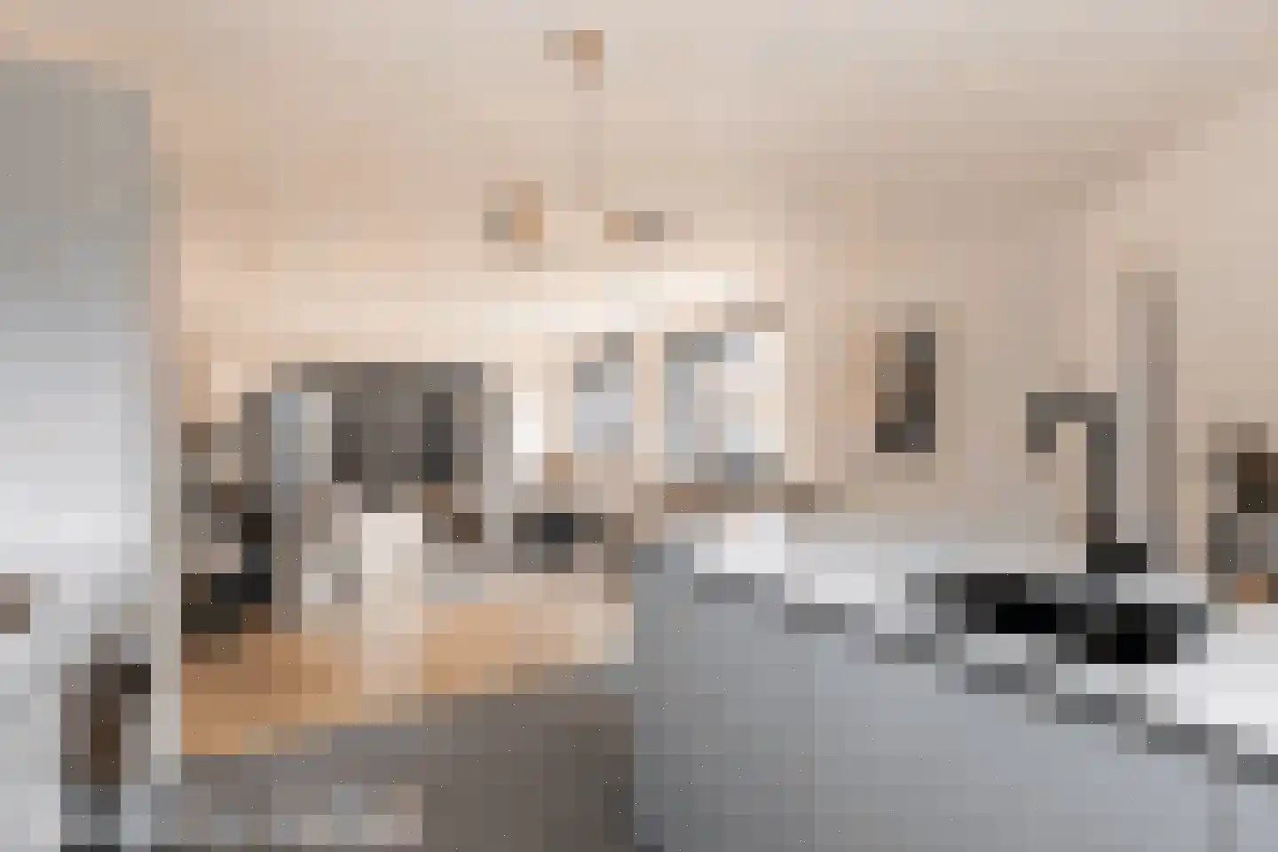 Laarakkerdijk 14 1 Reusel thumbnail 4