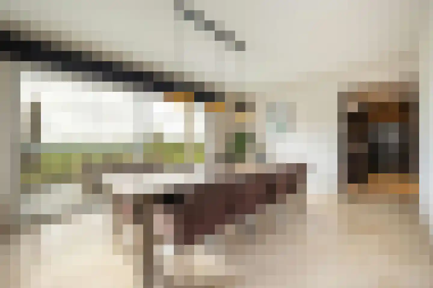 Laarakkerdijk 195 Reusel thumbnail 10