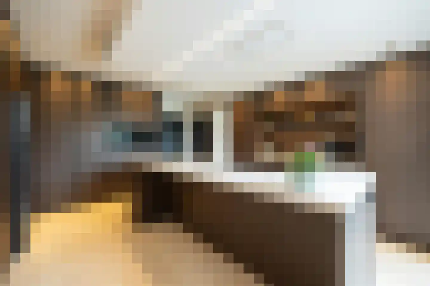 Laarakkerdijk 195 Reusel thumbnail 12