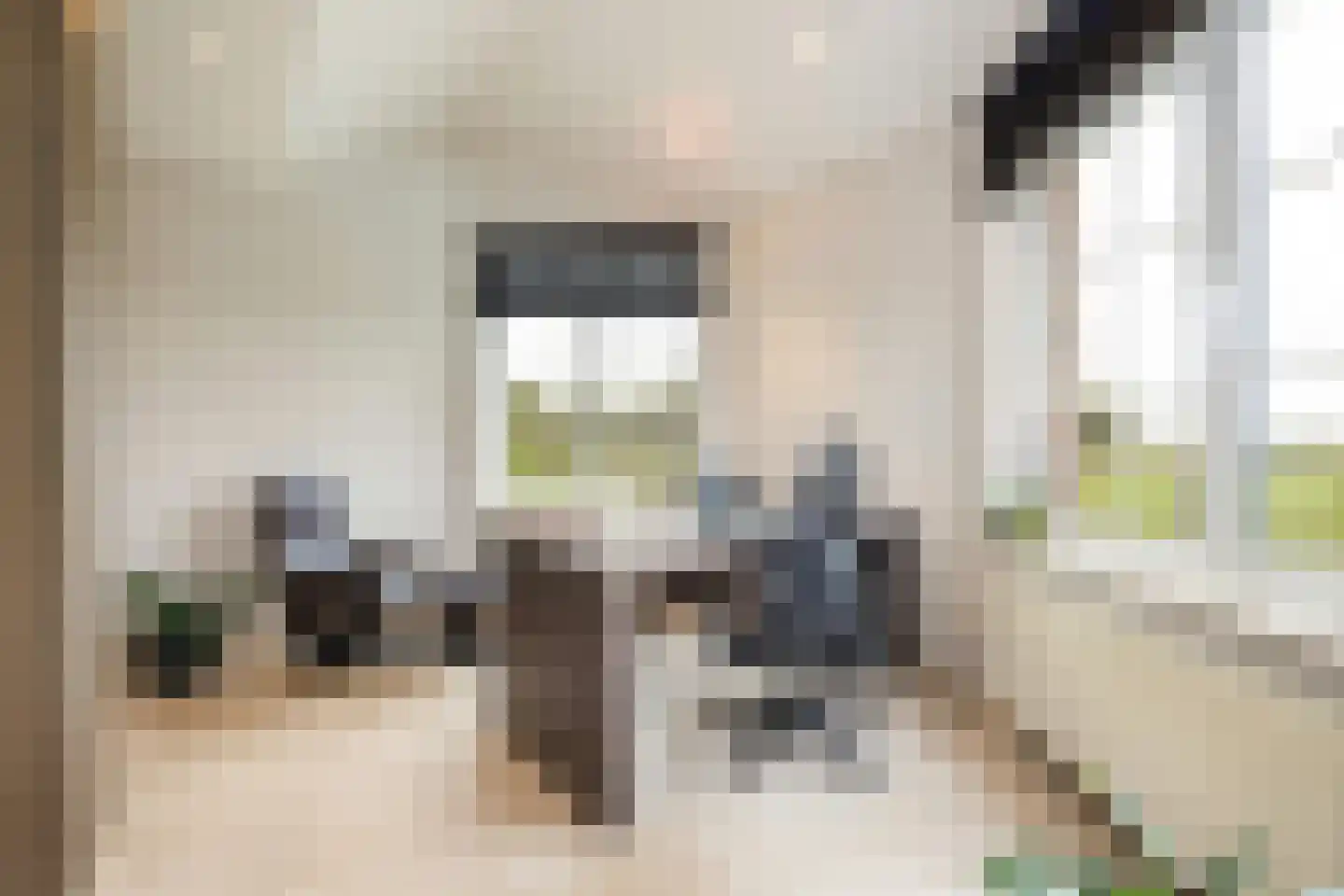 Laarakkerdijk 195 Reusel thumbnail 15