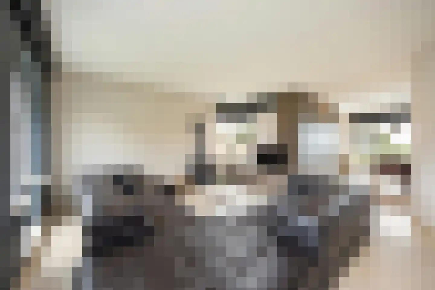Laarakkerdijk 195 Reusel thumbnail 8