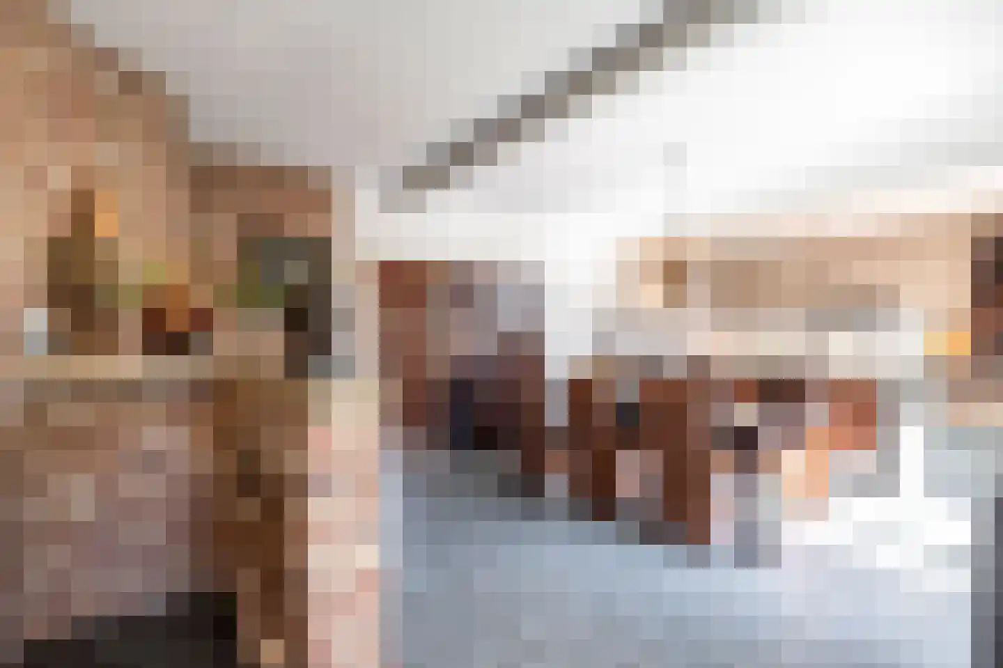 Laarakkerdijk 45 Reusel thumbnail 10
