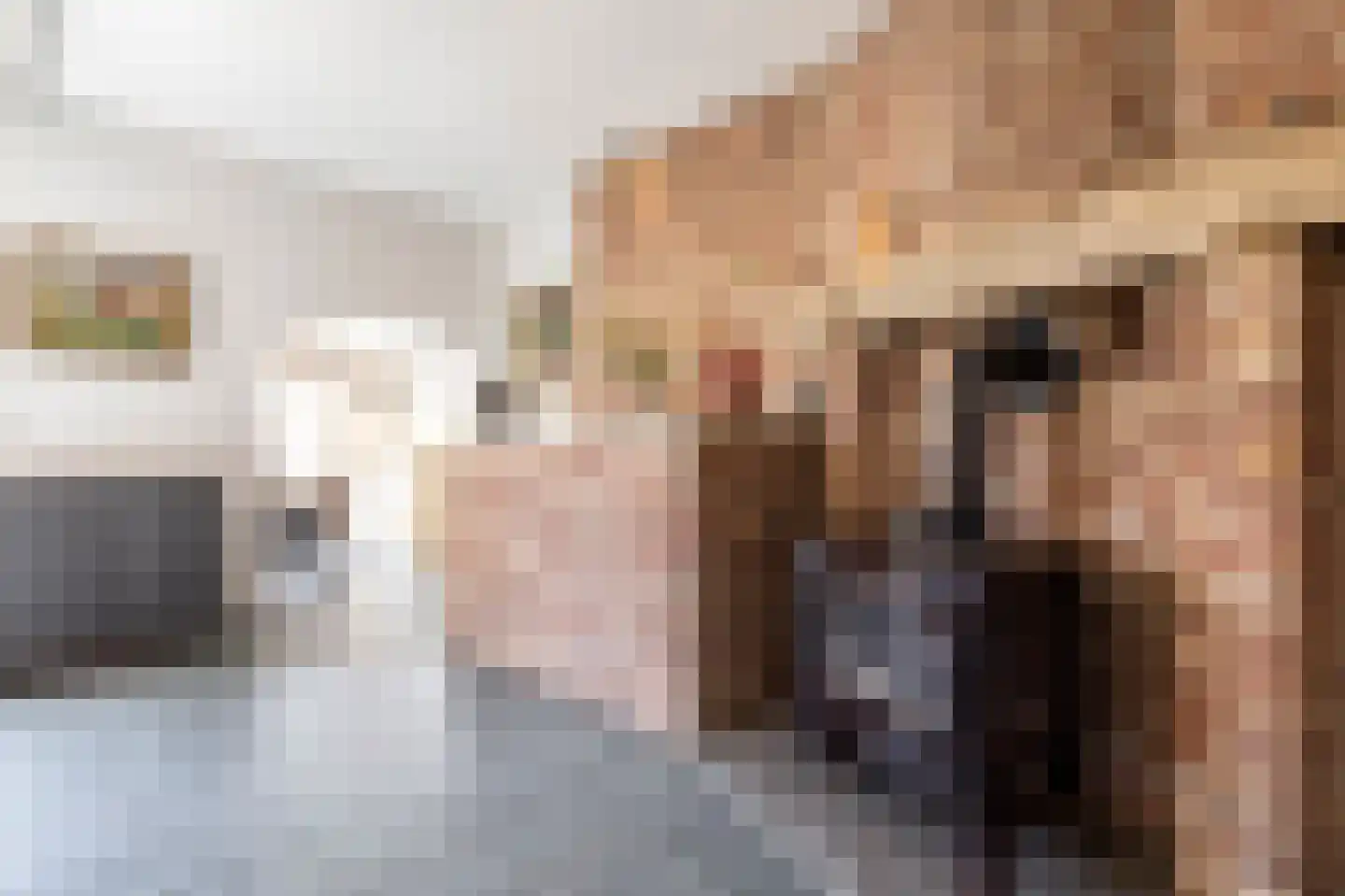 Laarakkerdijk 45 Reusel thumbnail 12