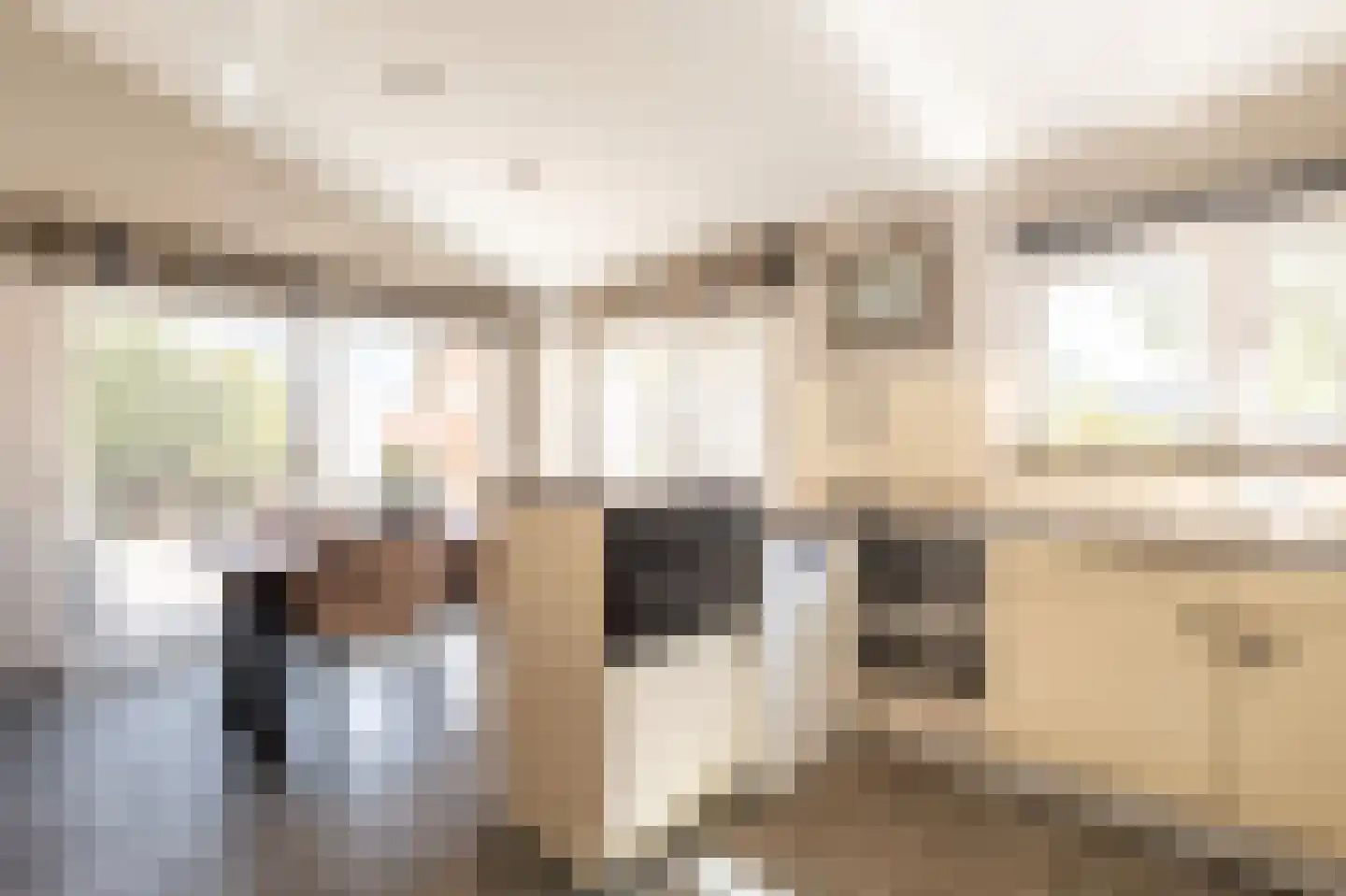Laarakkerdijk 45 Reusel thumbnail 13
