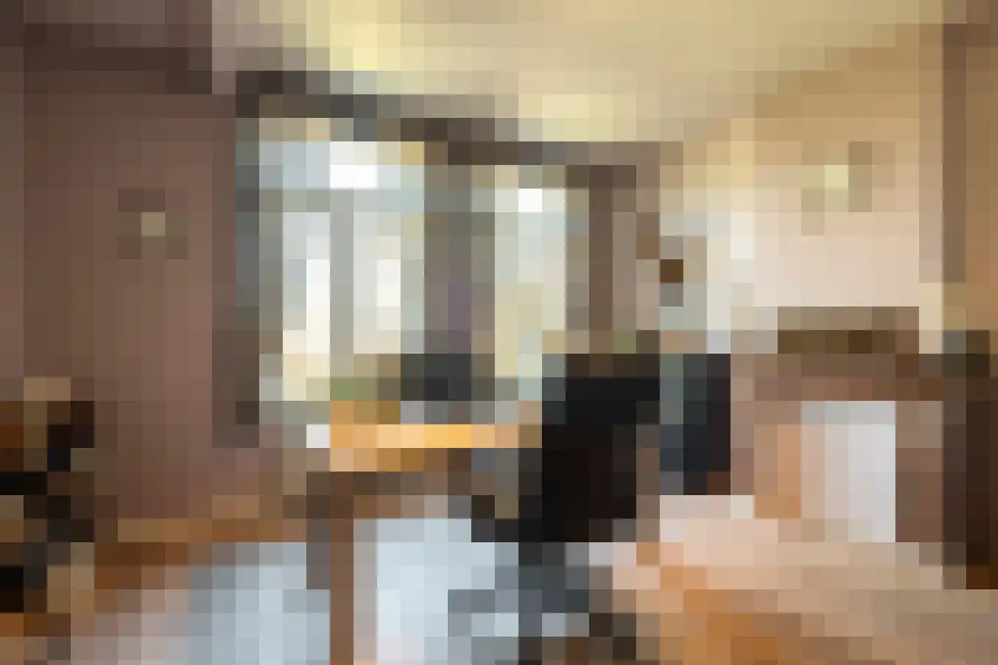 Laarakkerdijk 45 Reusel thumbnail 17