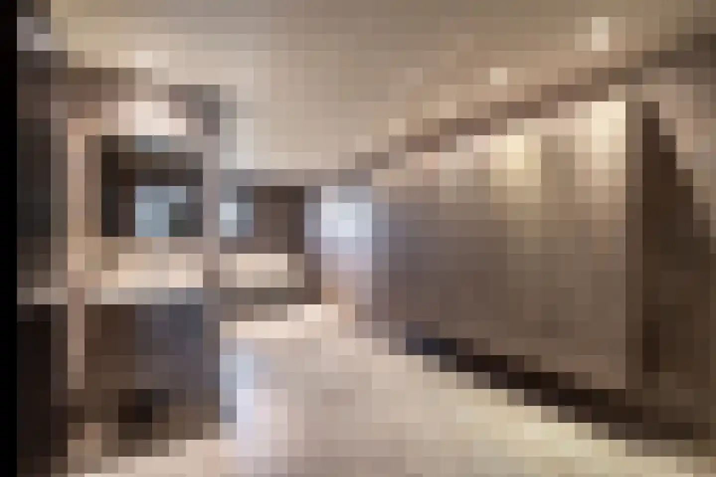 Laarakkerdijk 45 Reusel thumbnail 18