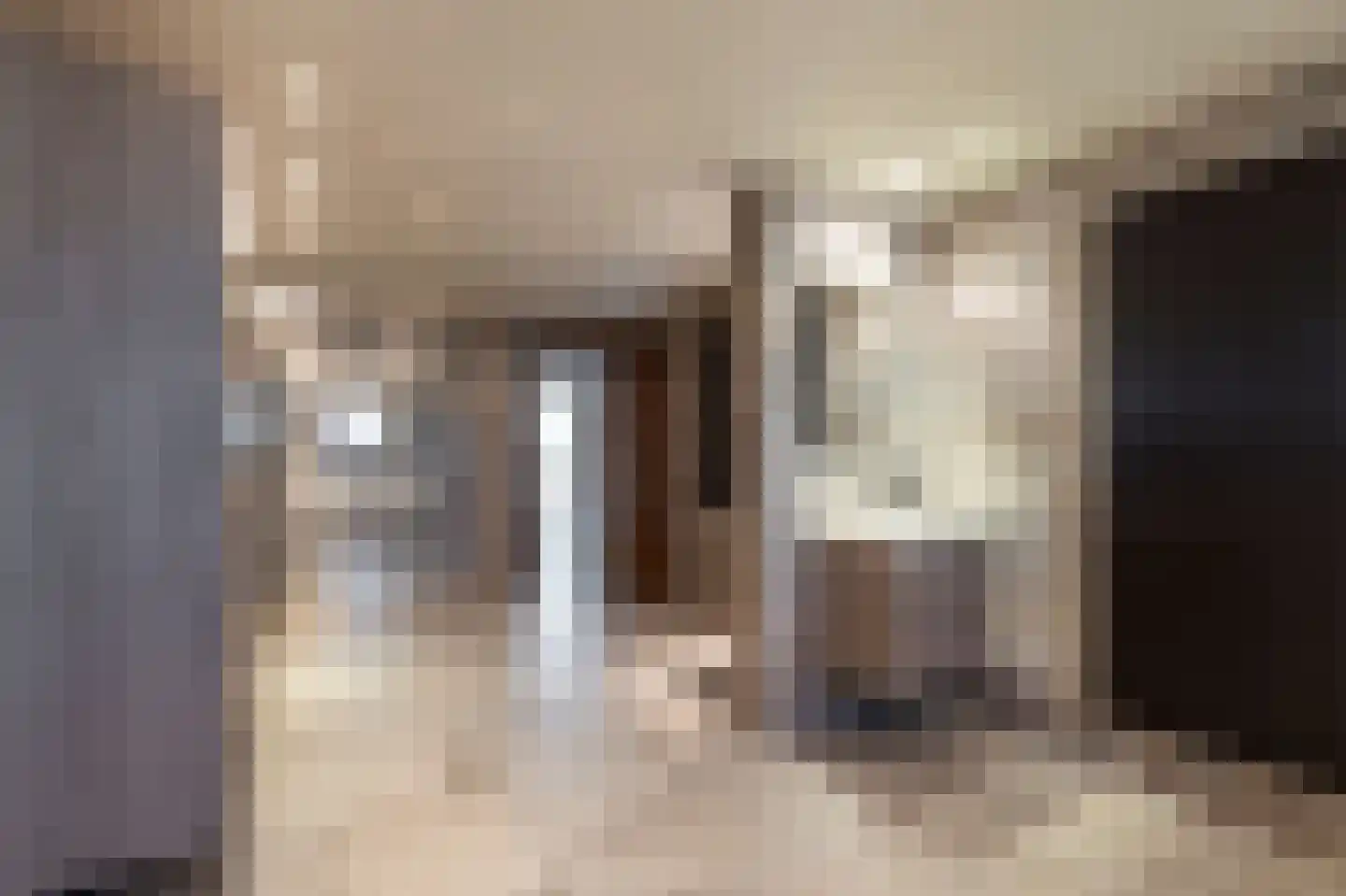 Laarakkerdijk 45 Reusel thumbnail 19