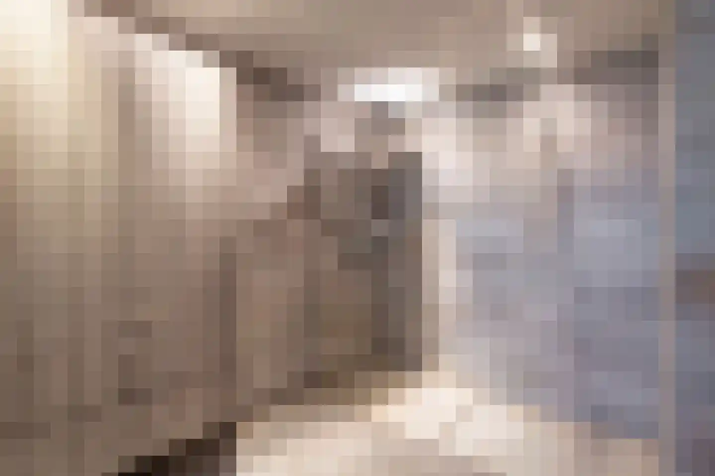 Laarakkerdijk 45 Reusel thumbnail 20