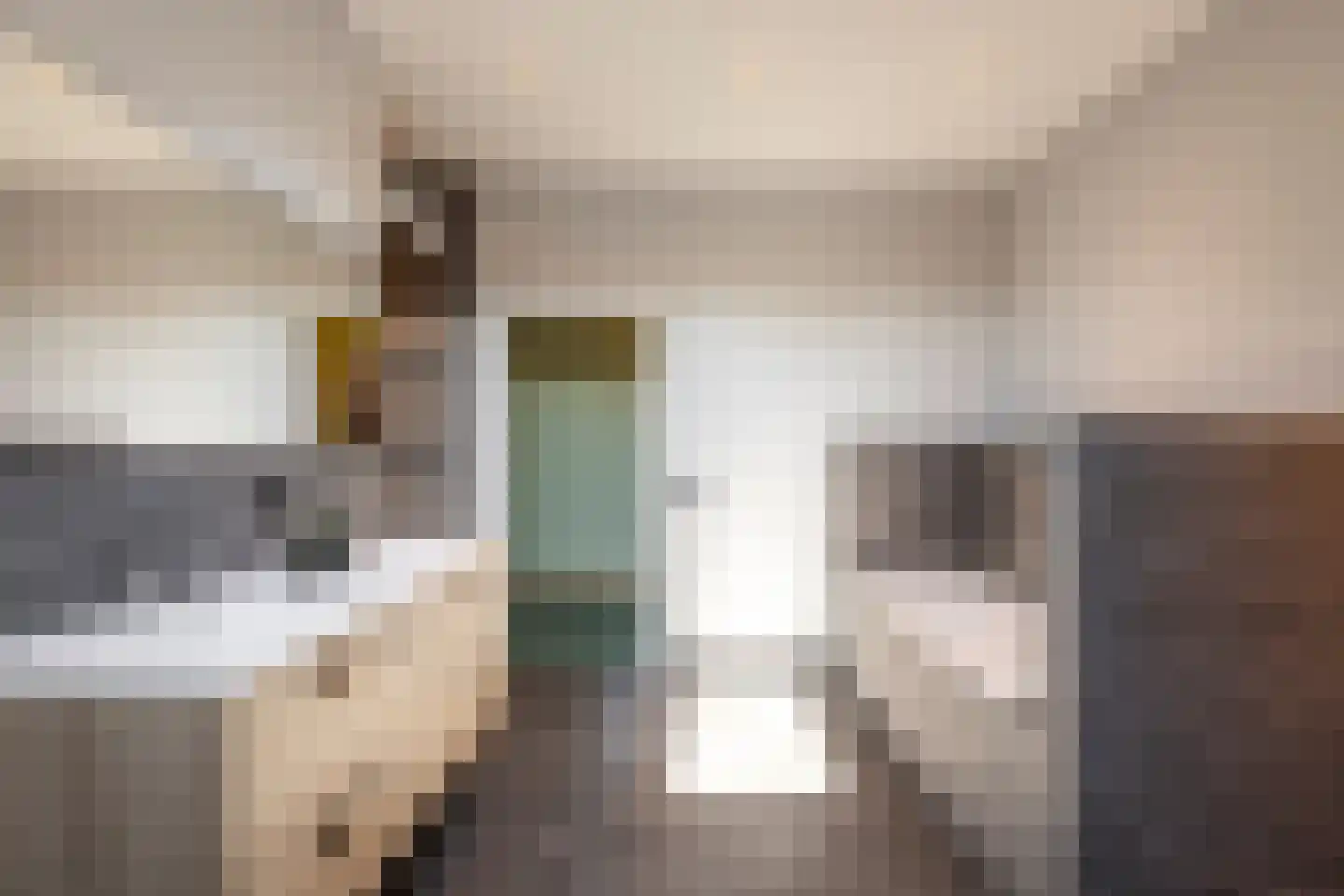 Laarakkerdijk 45 Reusel thumbnail 29