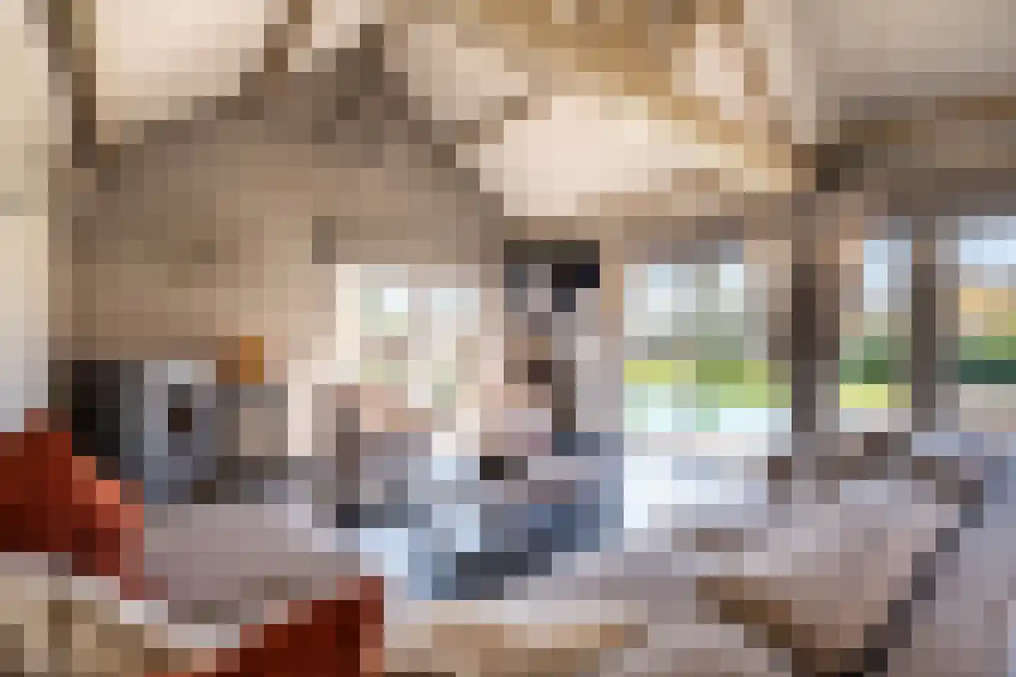 Laarakkerdijk 45 Reusel thumbnail 33