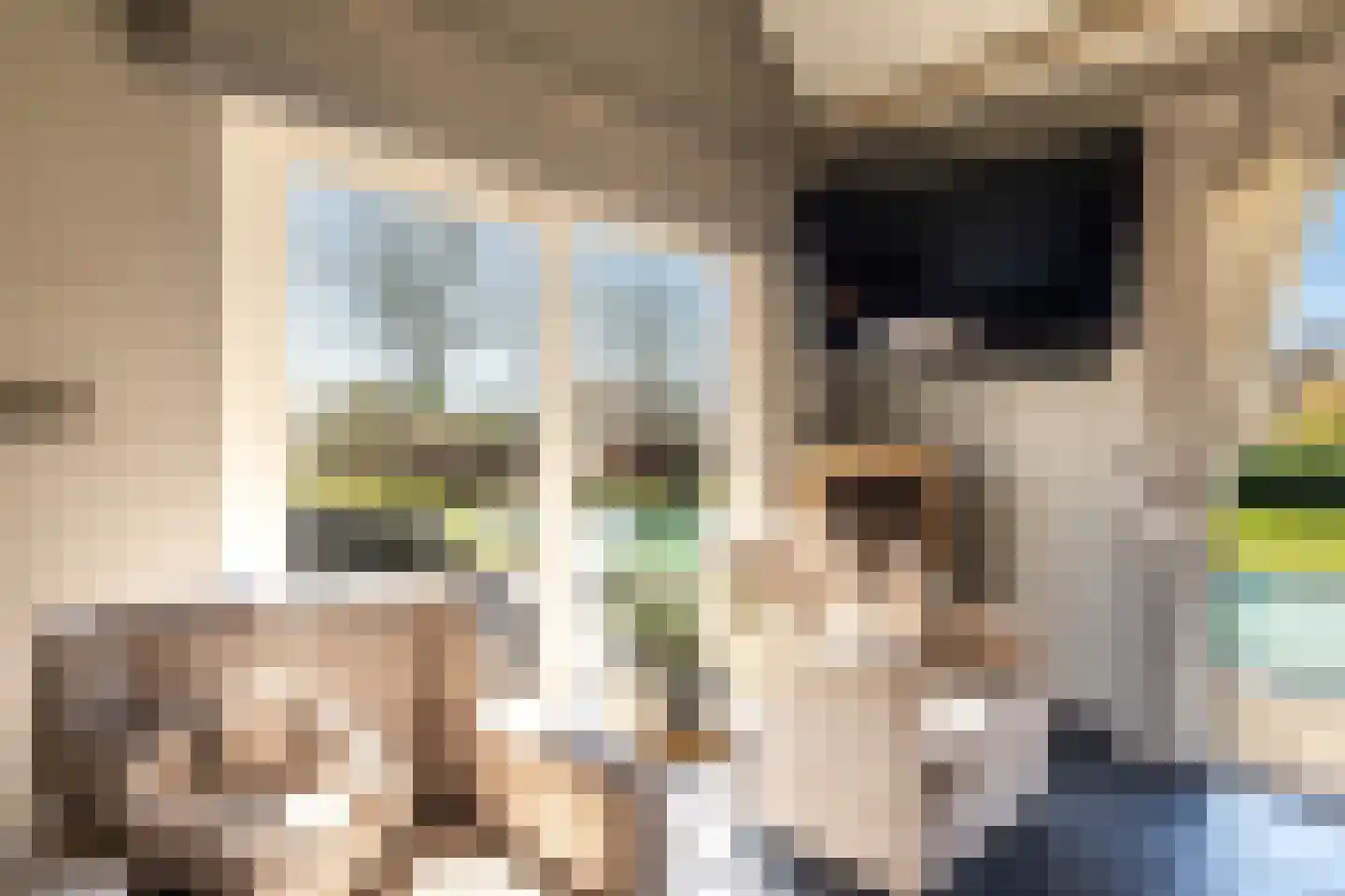 Laarakkerdijk 45 Reusel thumbnail 34