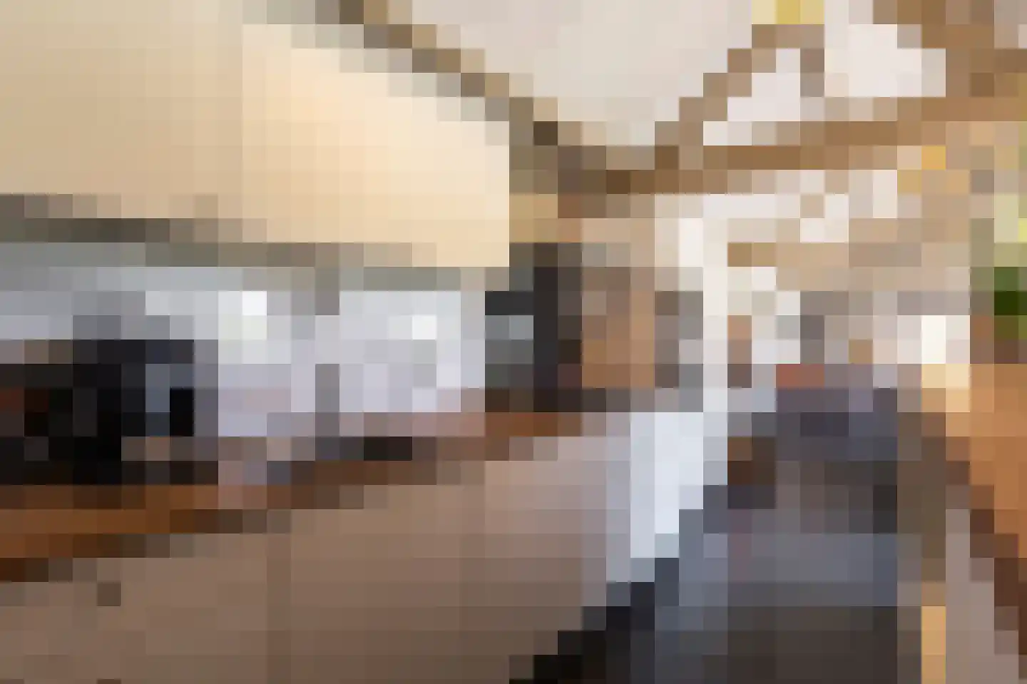 Laarakkerdijk 45 Reusel thumbnail 36