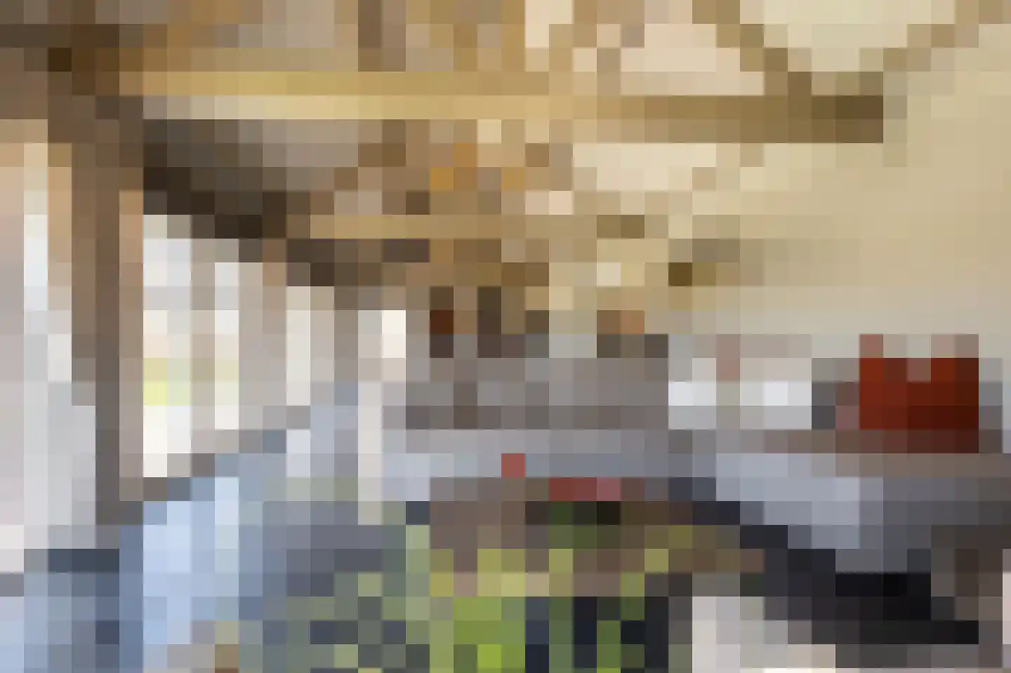 Laarakkerdijk 45 Reusel thumbnail 37