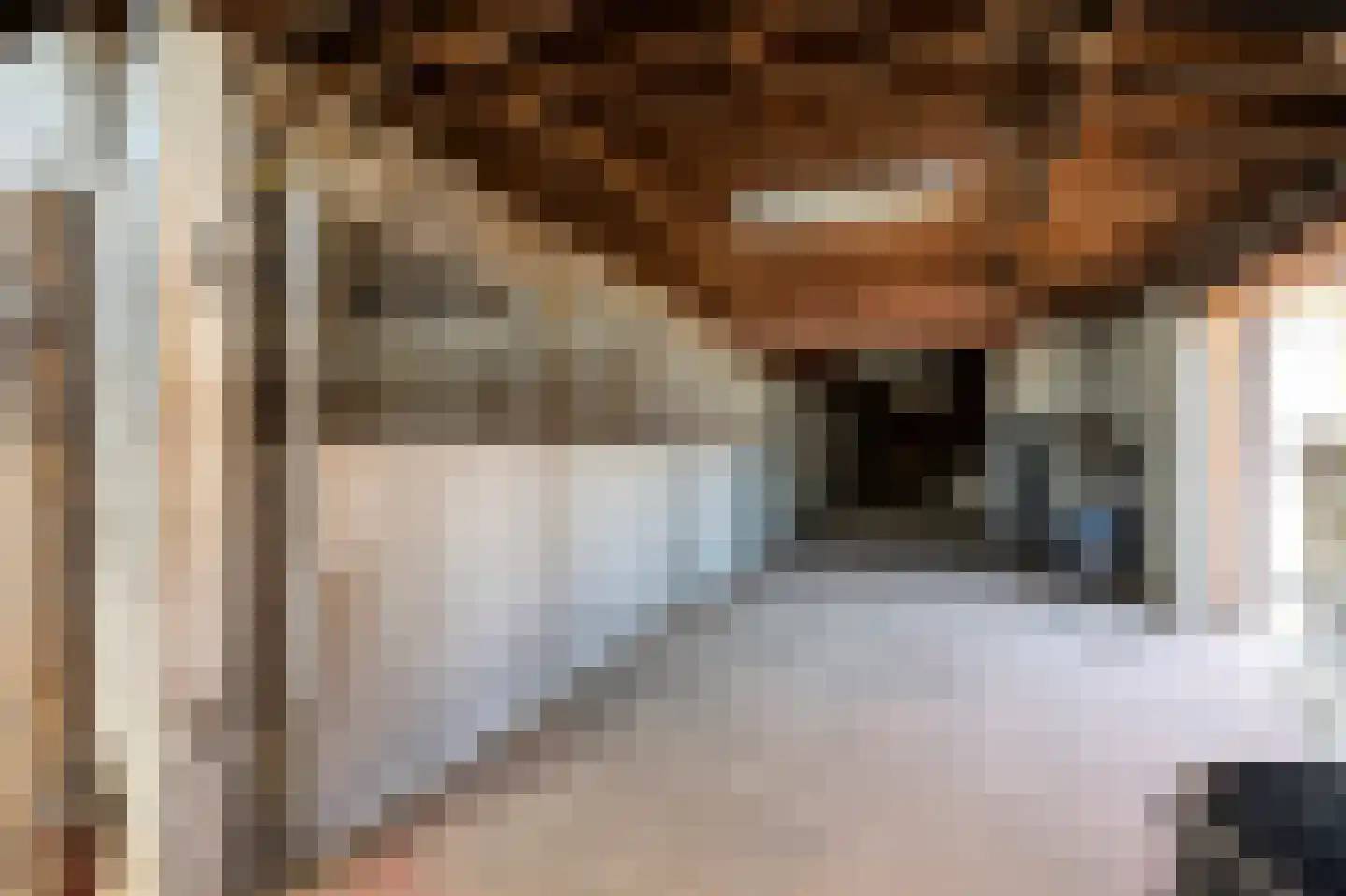 Laarakkerdijk 45 Reusel thumbnail 43