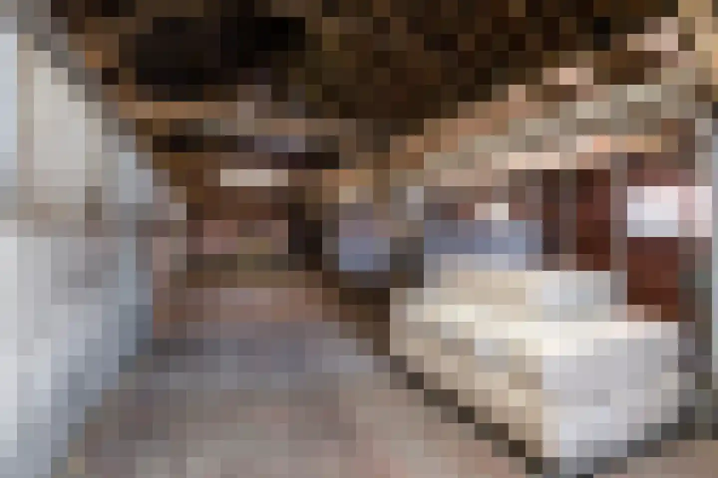 Laarakkerdijk 45 Reusel thumbnail 5
