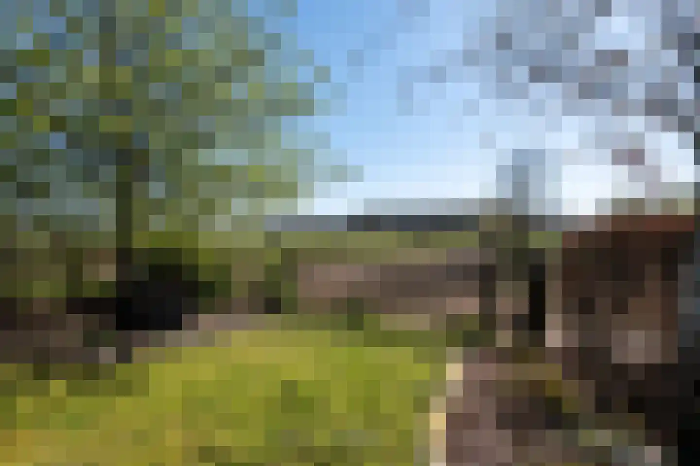 Laarakkerdijk 45 Reusel thumbnail 53