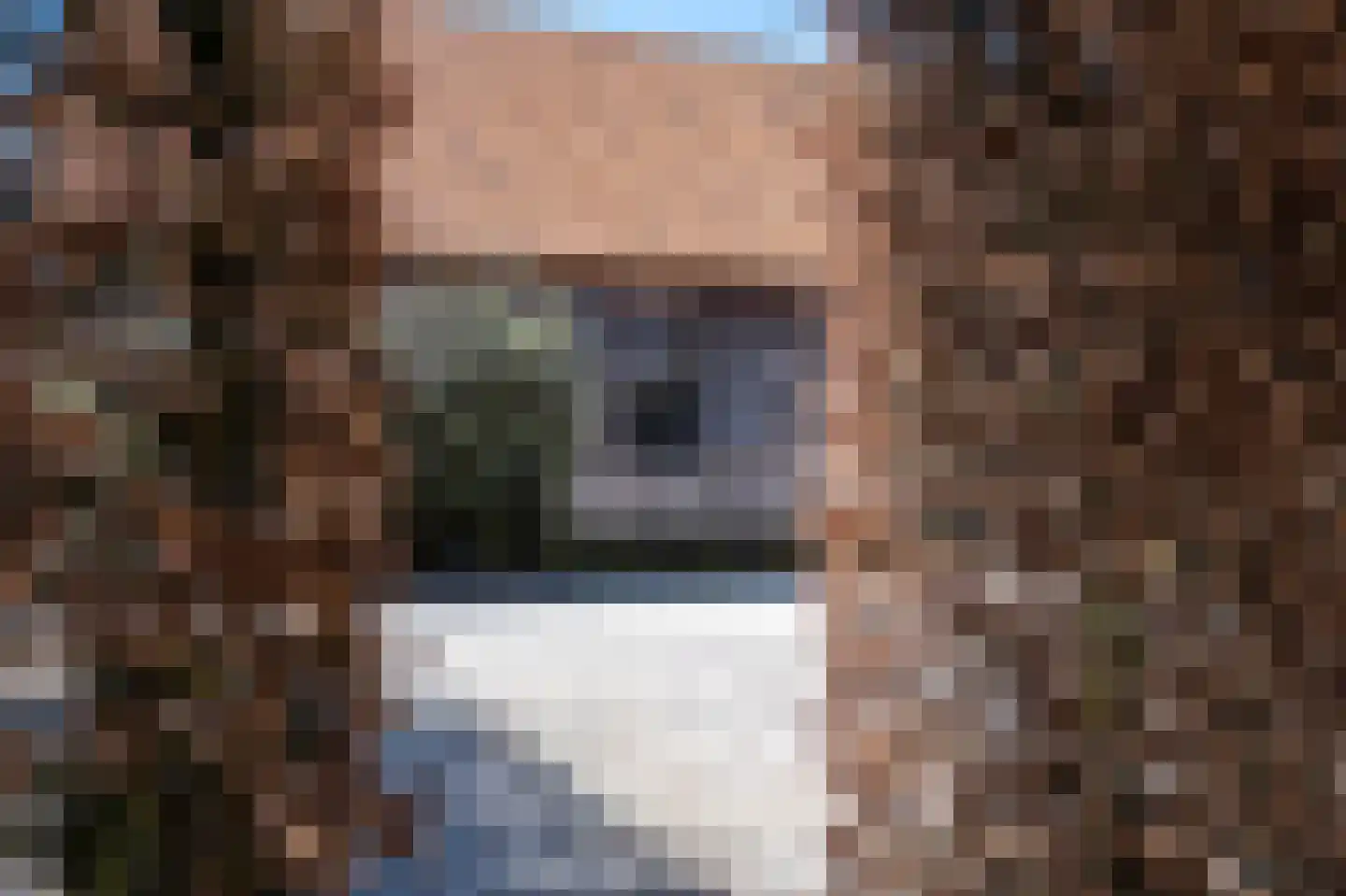 Laarakkerdijk 45 Reusel thumbnail 55