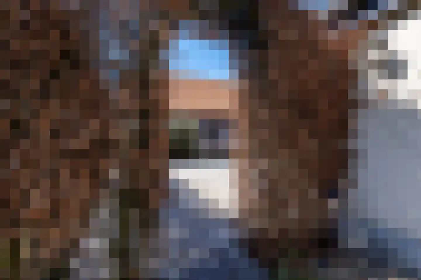 Laarakkerdijk 45 Reusel thumbnail 56