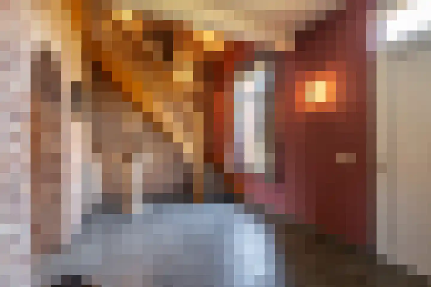 Laarakkerdijk 45 Reusel thumbnail 6