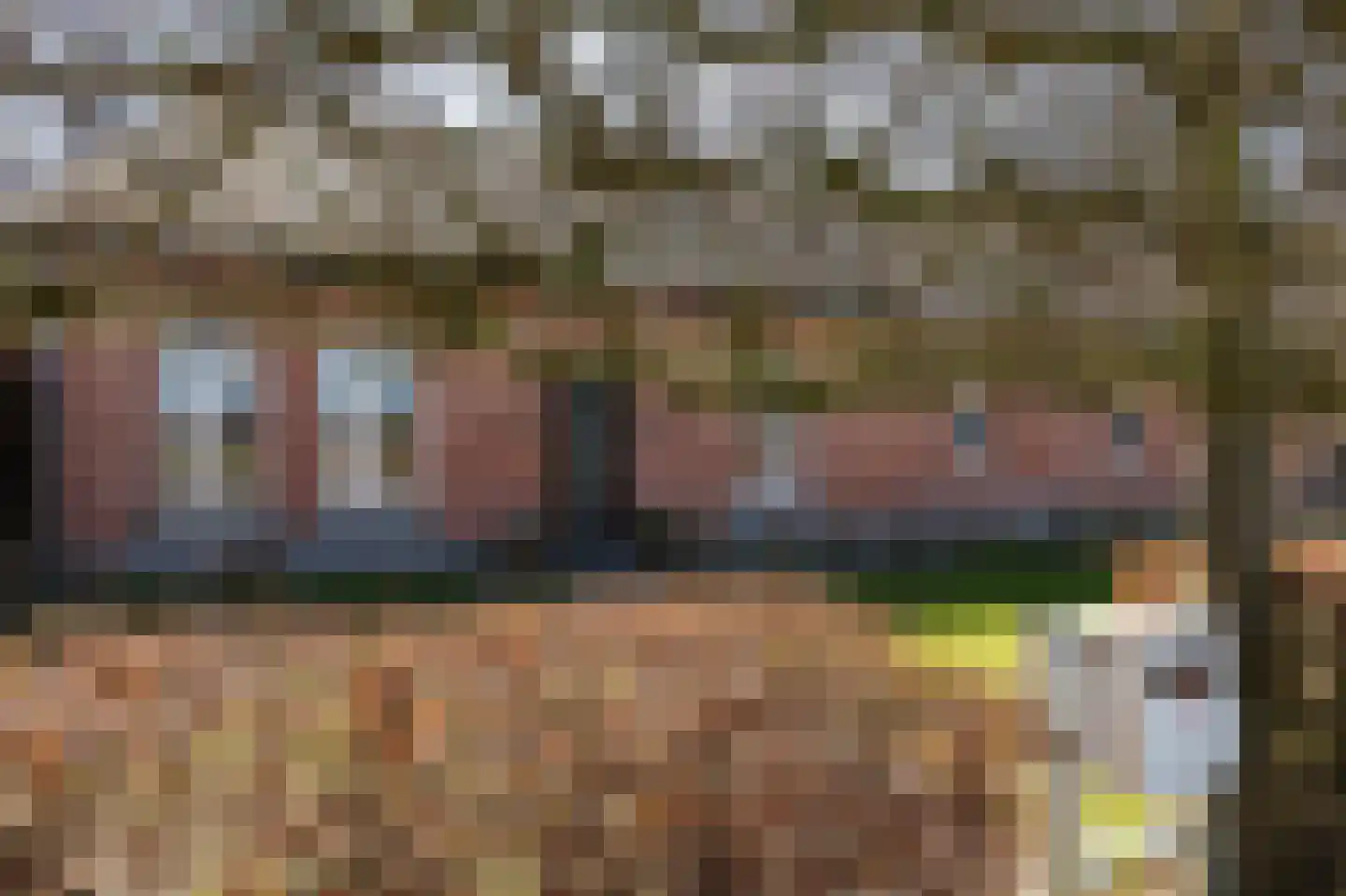 Laarakkerdijk 45 Reusel thumbnail 63