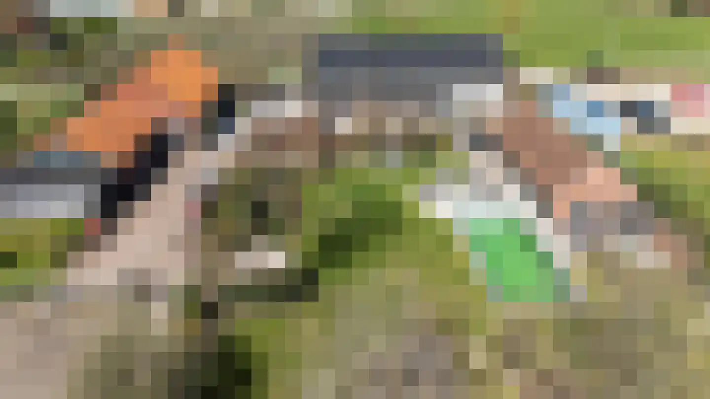 Laarakkerdijk 45 Reusel thumbnail 66