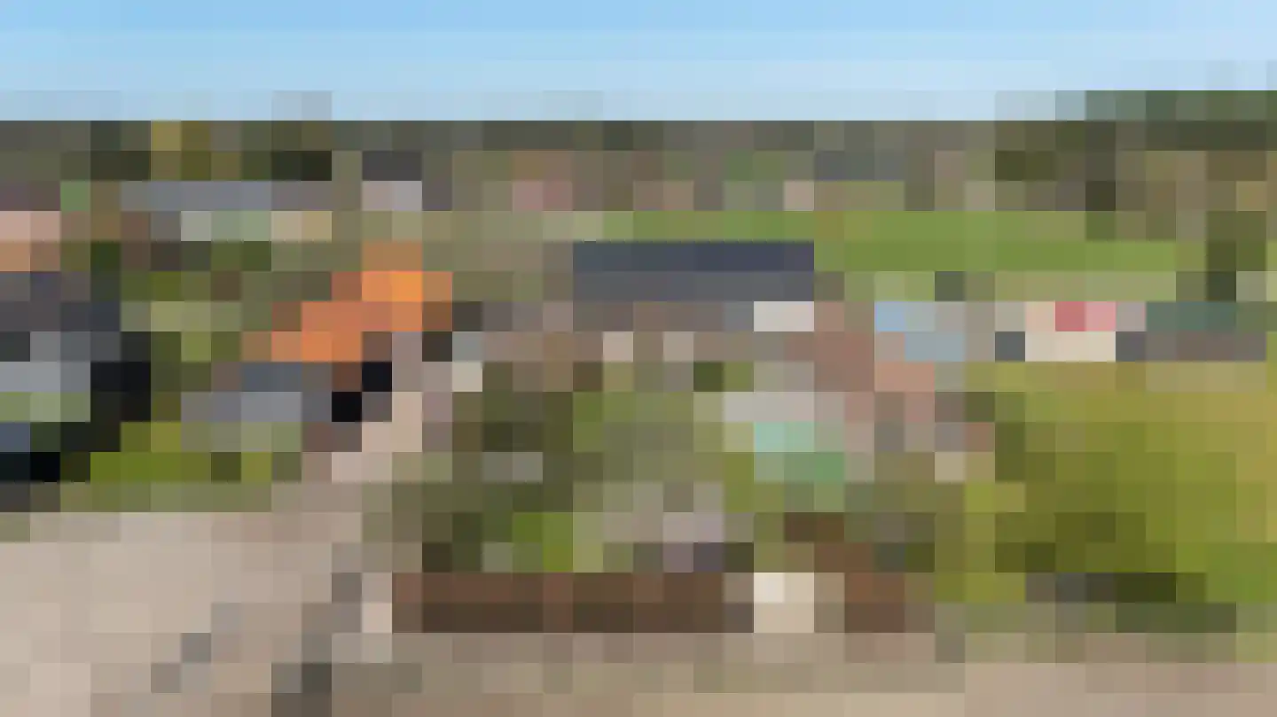 Laarakkerdijk 45 Reusel thumbnail 67